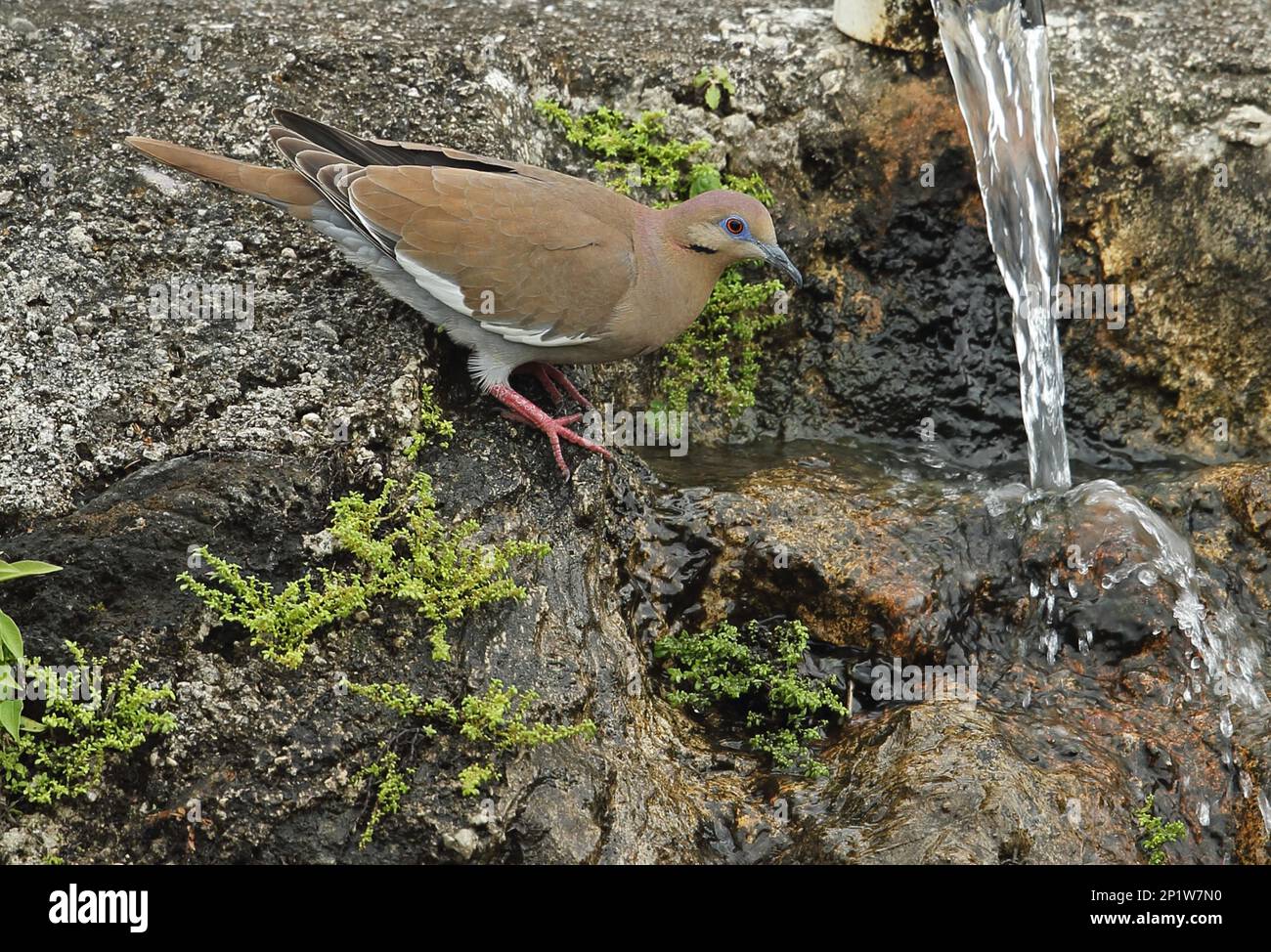 Yoja hi-res stock photography and images - Alamy