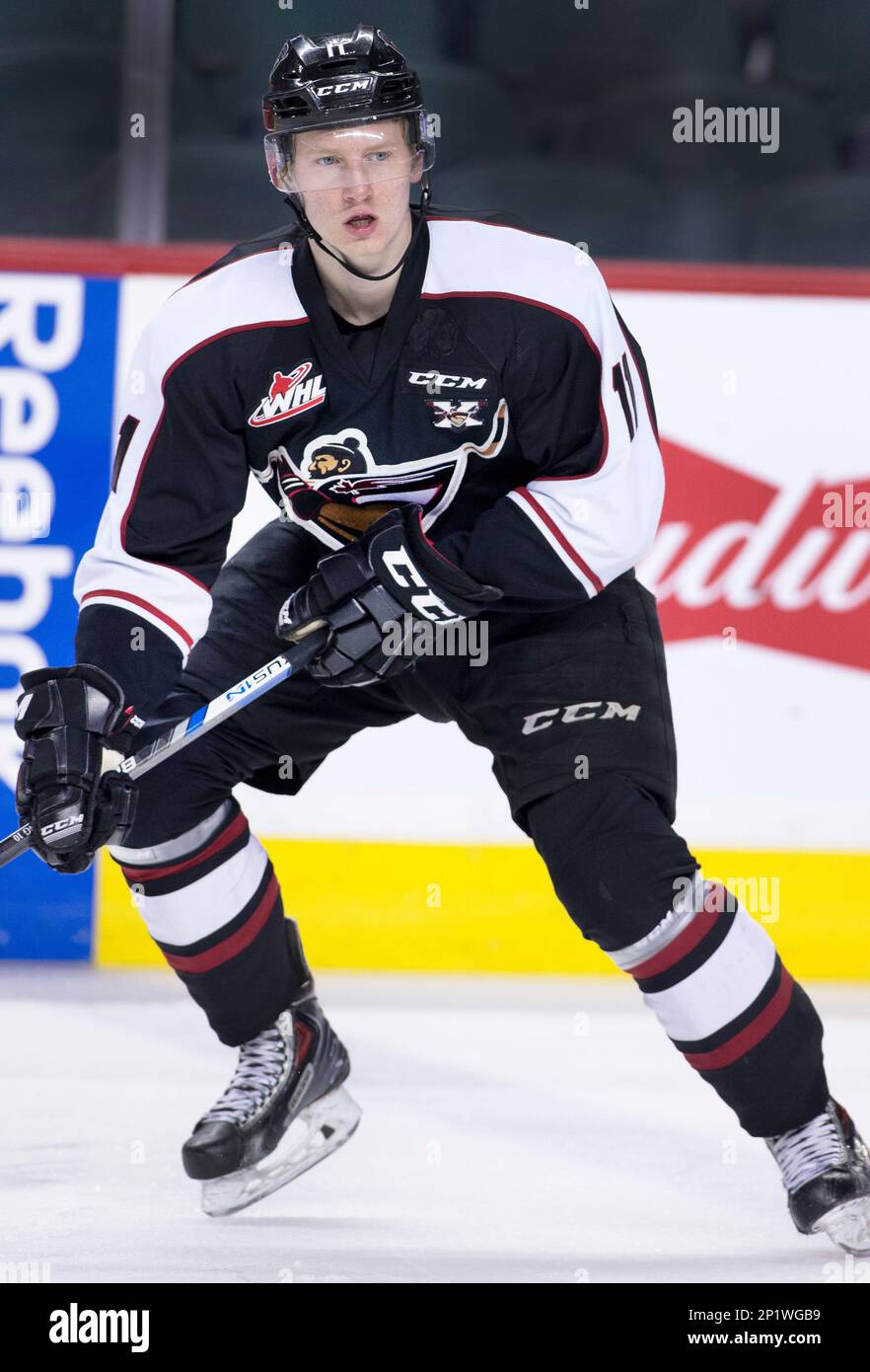 WHL (Western Hockey League) player profile photo on Vancouver Giants