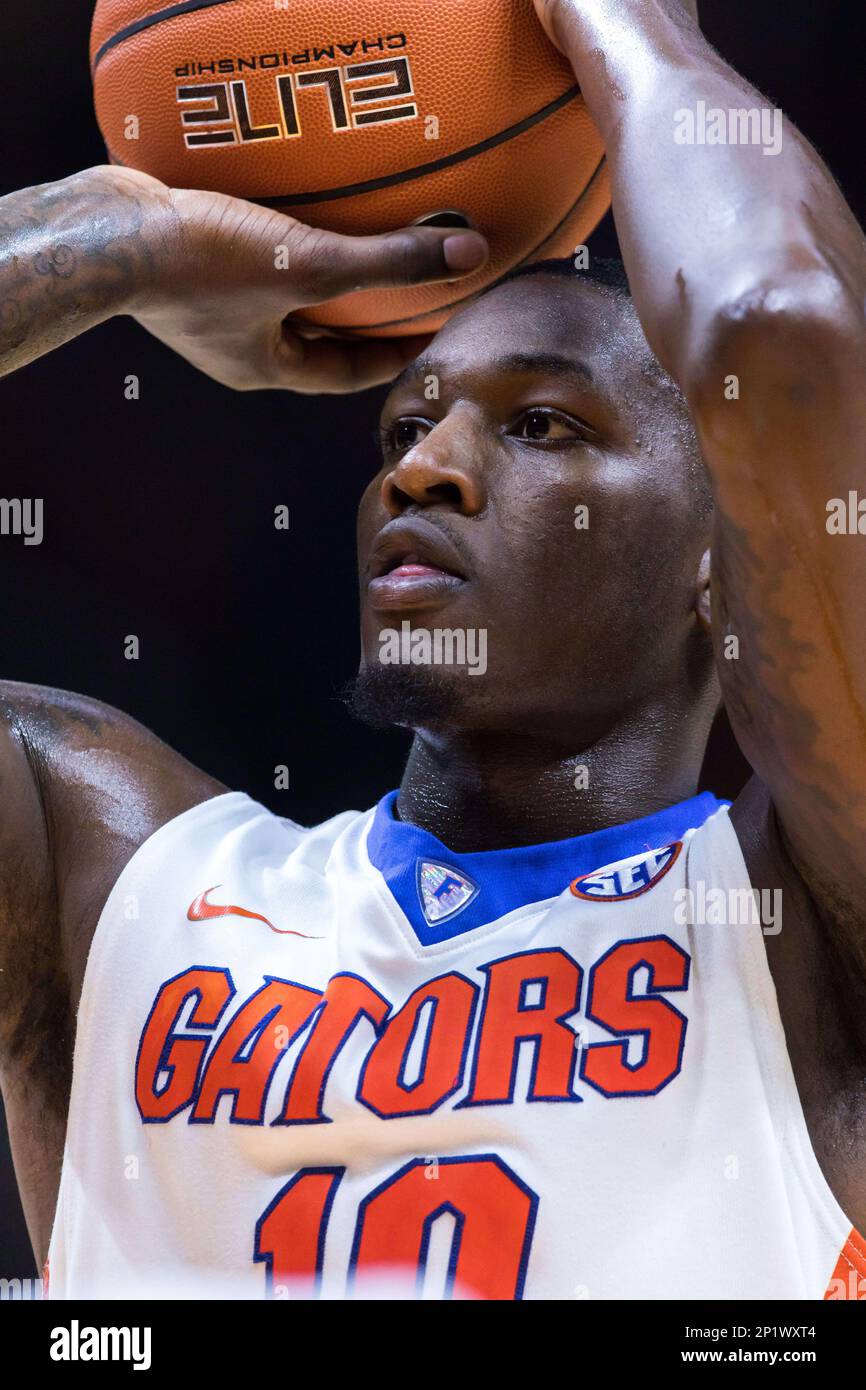Dorian Finney-Smith - Men's Basketball - Florida Gators