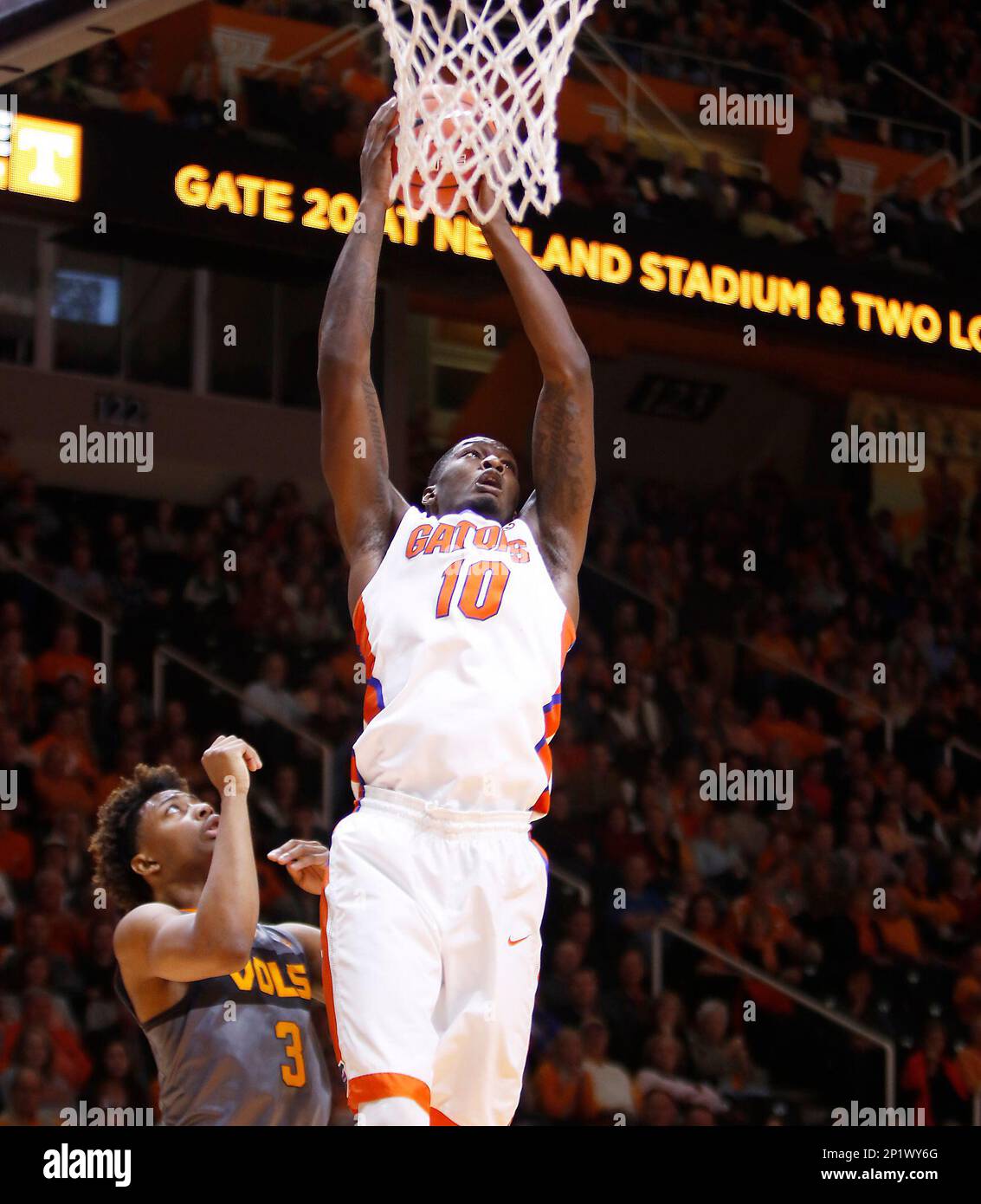 Florida's Dorian FinneySmith (10) grabs a rebound over Tennessee's