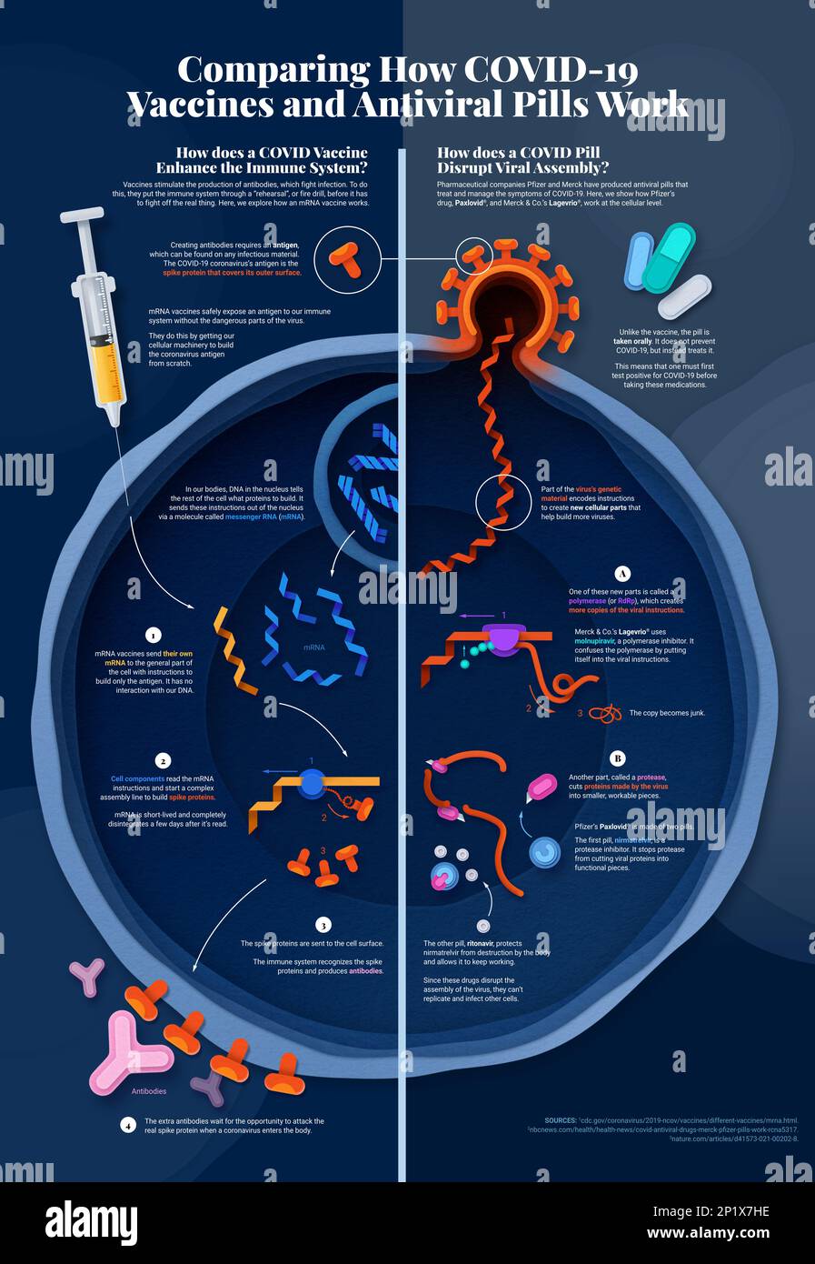 Vaccines vs antivirals, illustration Stock Photo Alamy