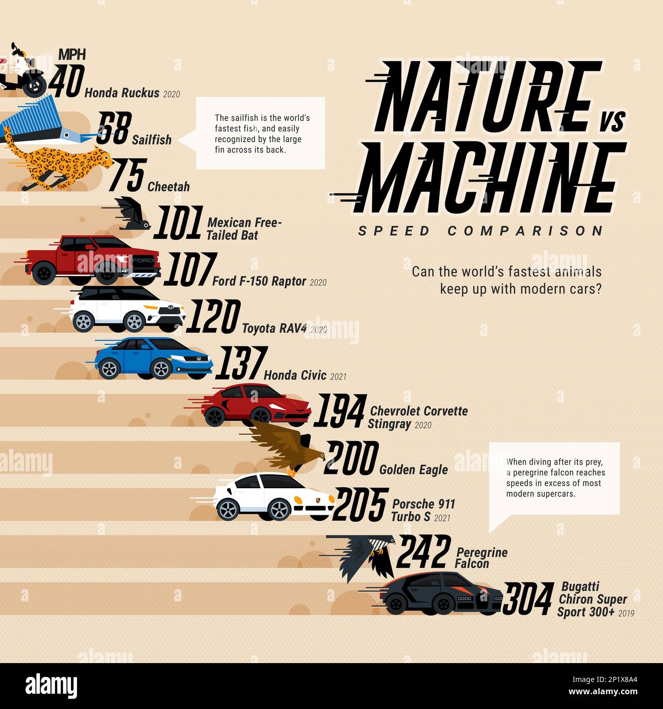 animal-speed-vs-cars-infographic-chart-stock-photo-alamy