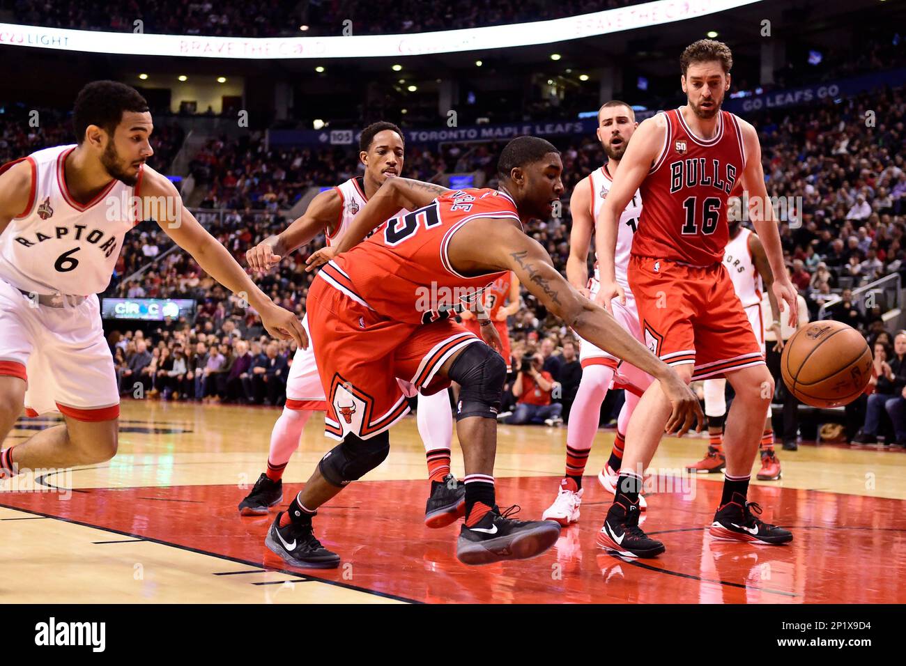 Chicago Bulls Logo Upside Down Meaning