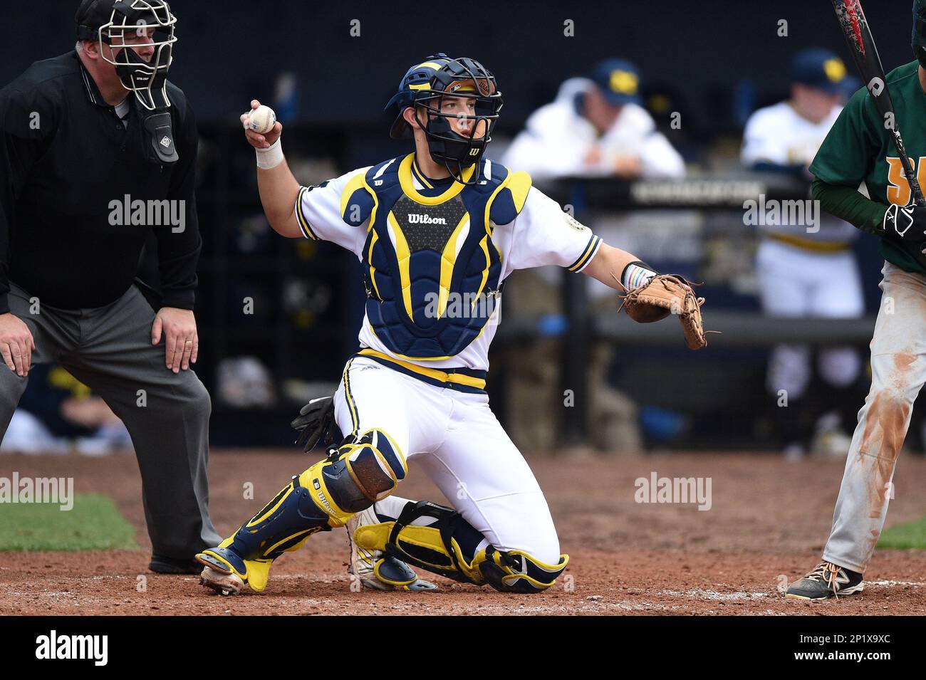 https://c8.alamy.com/comp/2P1X9XC/michigan-wolverines-catcherinfielder-drew-lugbauer-17-during-the-second-game-of-a-doubleheader-against-the-siena-saints-on-february-27-2015-at-tradition-field-in-st-lucie-florida-michigan-defeated-siena-6-0-mike-janesfour-seam-images-via-ap-images-2P1X9XC.jpg