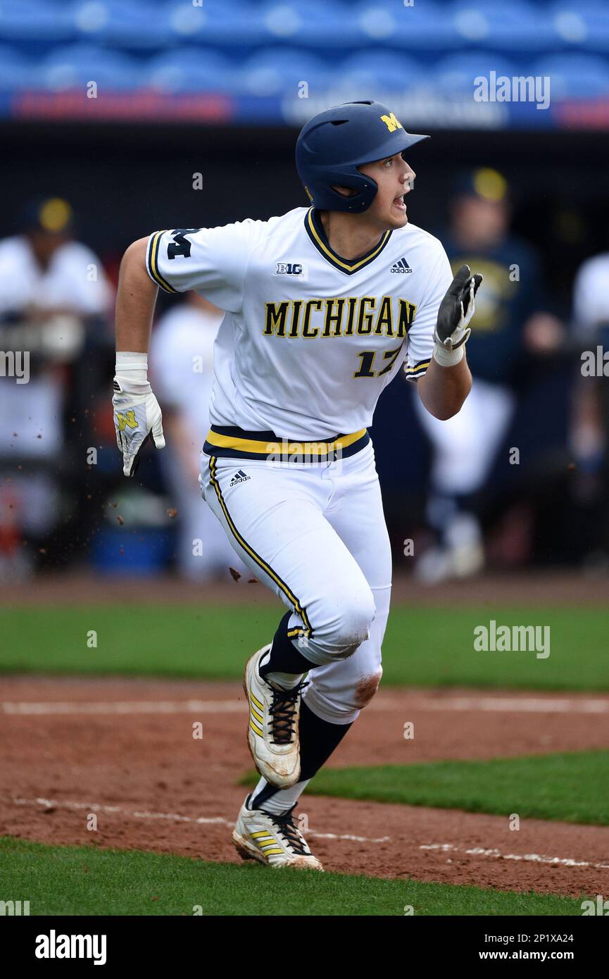 Michigan Wolverines catcher/infielder Drew Lugbauer (17) during the first  game of a doubleheader against the Siena Saints on February 27, 2015 at Tradition  Field in St. Lucie, Florida. Michigan defeated Siena 6-2. (