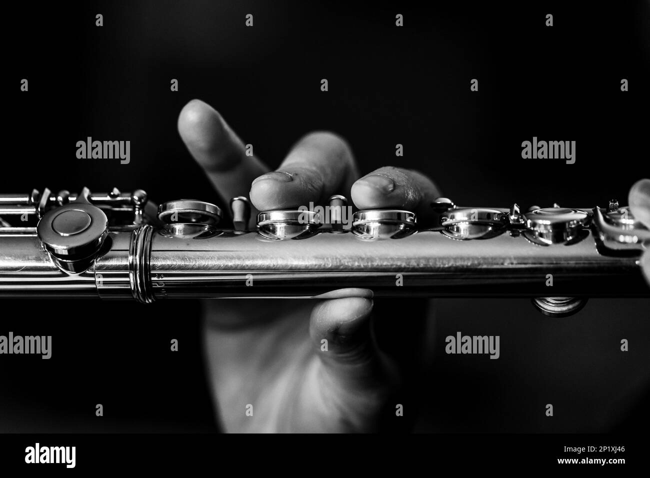 A black and white portrait of the fingers of a hand of a flutist musician pressing down on the valves of a metal silver flute to play a note of a musi Stock Photo