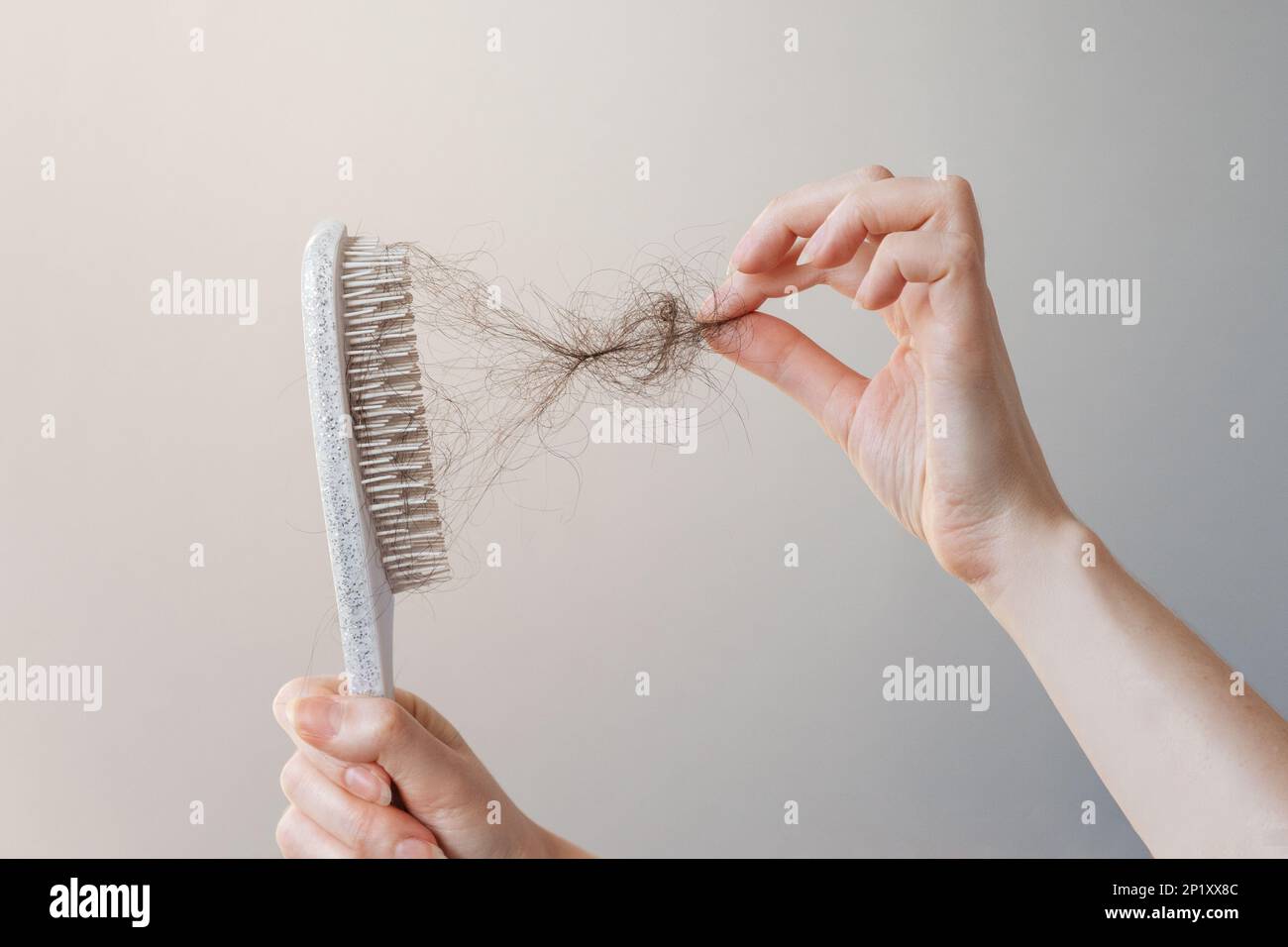 Comb out lice hires stock photography and images Alamy