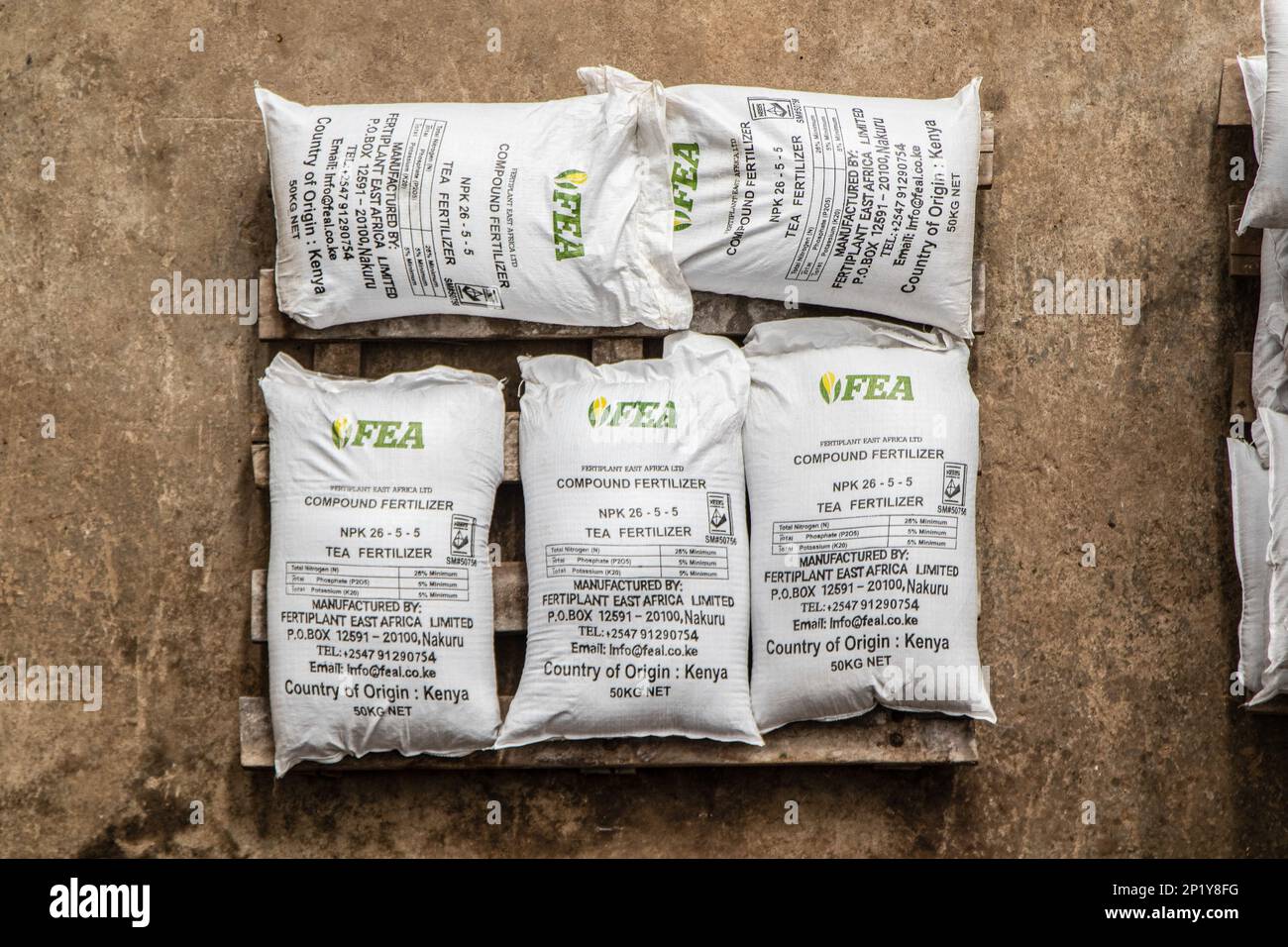 A view of Fertiplant's fertilizer sacks at the granulation factory in Nakuru. Fertiplant, a local fertilizer plant, is expected to address the fertilizer deficit in Kenya ahead of the planting season. The Nitrogen, Phosphorous and Potassium, (NPK) fertilizer granulation company has an annual capacity of 100, 000 tonnes, while Kenya's annual fertilizer consumption stands at 500,000 tonnes per annum. During the commissioning of the company, President William Ruto announced that the government plans to eliminate generic fertilizers that have been altering soil pH. Stock Photo