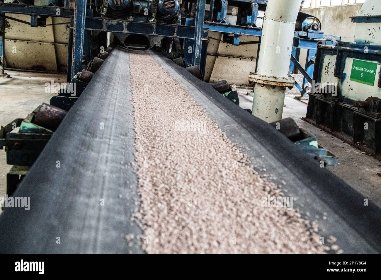 Fertilizer granules move along a conveyor belt at Fertiplant's granulation factory in Nakuru. Fertiplant, a local fertilizer plant, is expected to address the fertilizer deficit in Kenya ahead of the planting season. The Nitrogen, Phosphorous and Potassium, (NPK) fertilizer granulation company has an annual capacity of 100, 000 tonnes, while Kenya's annual fertilizer consumption stands at 500,000 tonnes per annum. During the commissioning of the company, President William Ruto announced that the government plans to eliminate generic fertilizers that have been altering soil pH. Stock Photo
