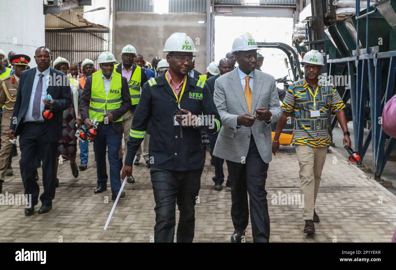 President William Ruto and a delegation tour the newly commissioned Fertiplant fertilizer granulation factory in Nakuru. Fertiplant, a local fertilizer plant, is expected to address the fertilizer deficit in Kenya ahead of the planting season. The Nitrogen, Phosphorous and Potassium, (NPK) fertilizer granulation company has an annual capacity of 100, 000 tonnes, while Kenya's annual fertilizer consumption stands at 500,000 tonnes per annum. During the commissioning of the company, President William Ruto announced that the government plans to eliminate generic fertilizers that have been alterin Stock Photo