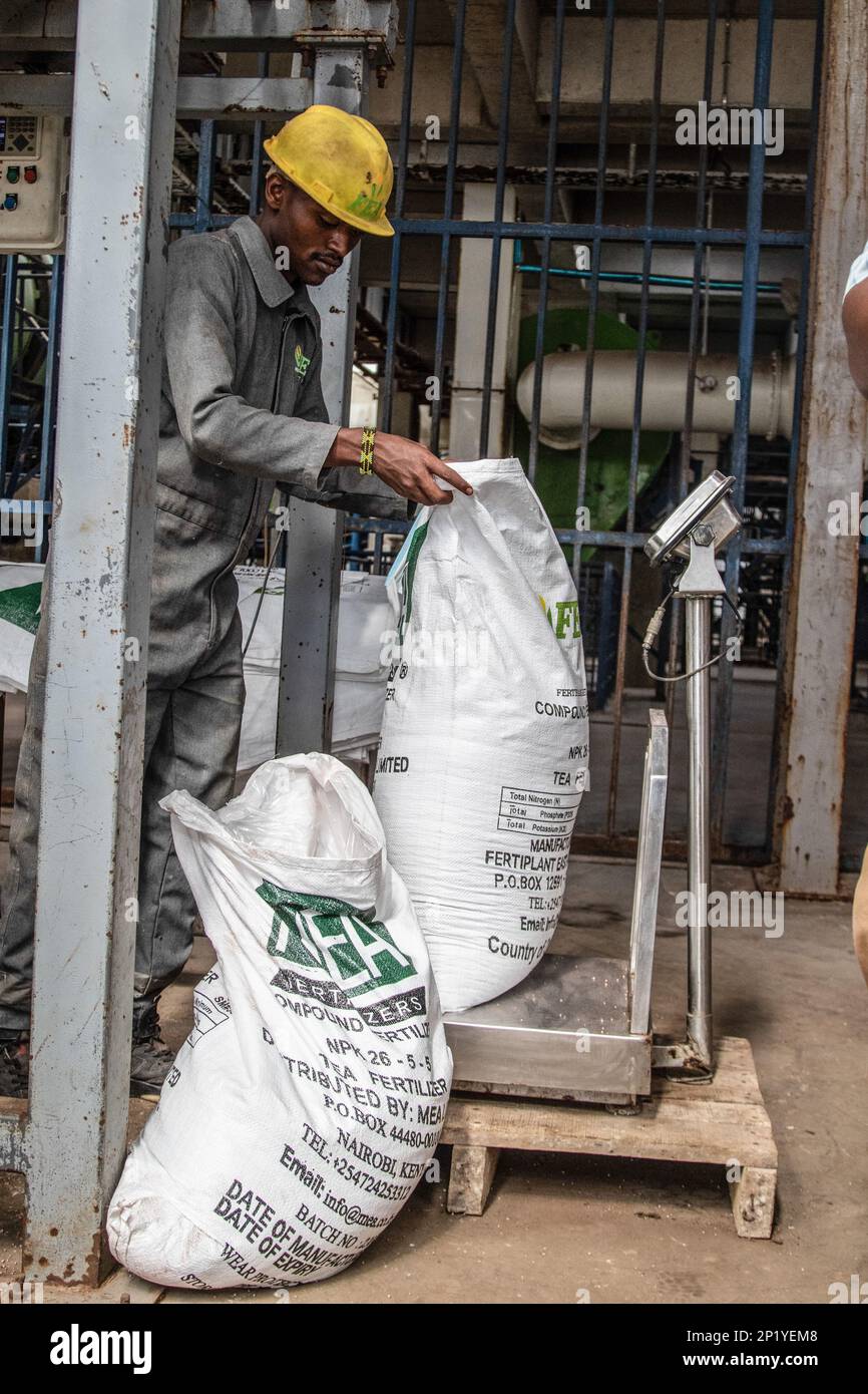 A worker operates a precision weighing machine at the Fertiplant