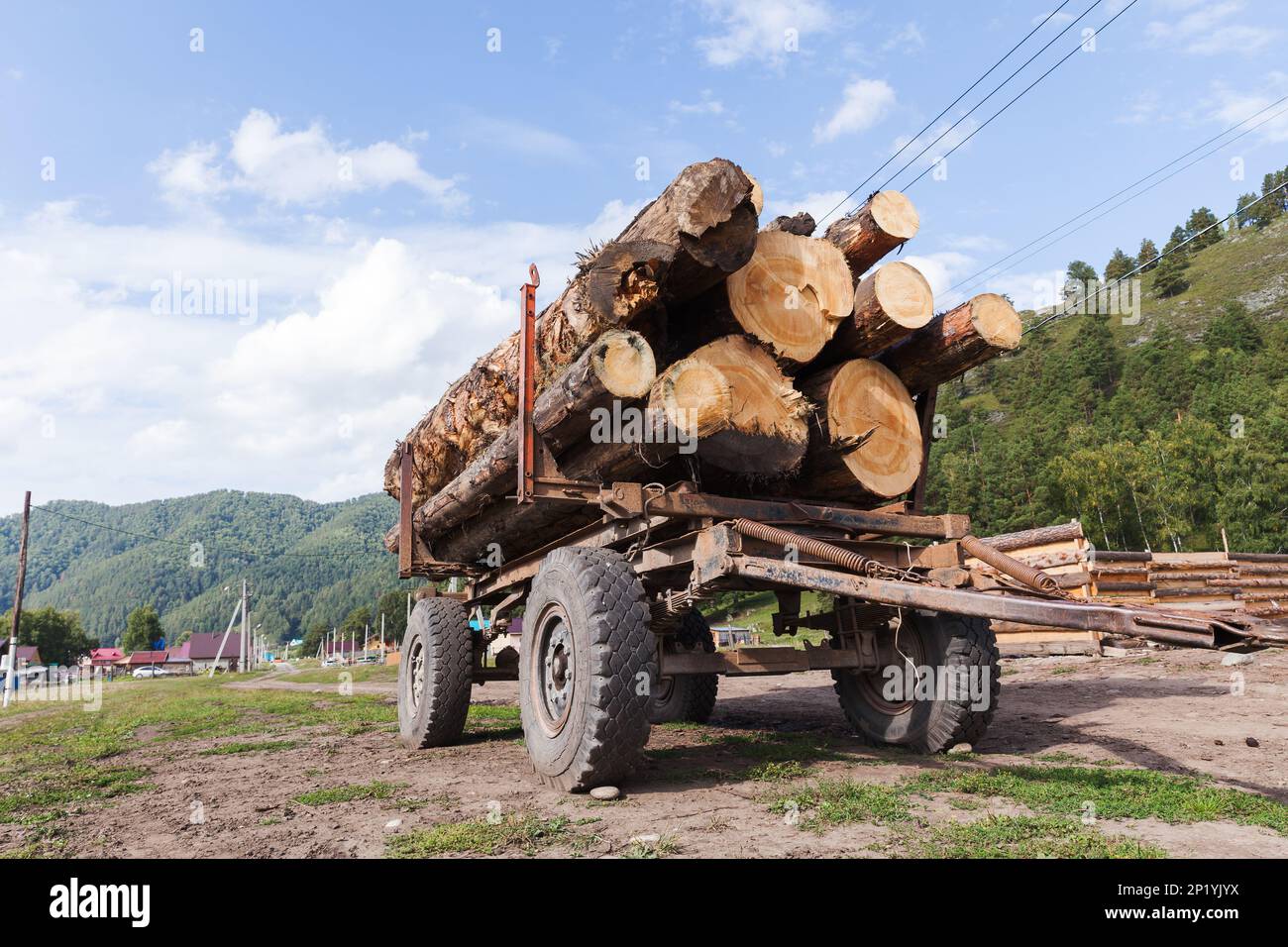 Truck trailer full of Siberian pine logs. Altay, Siberia, Russia Stock Photo