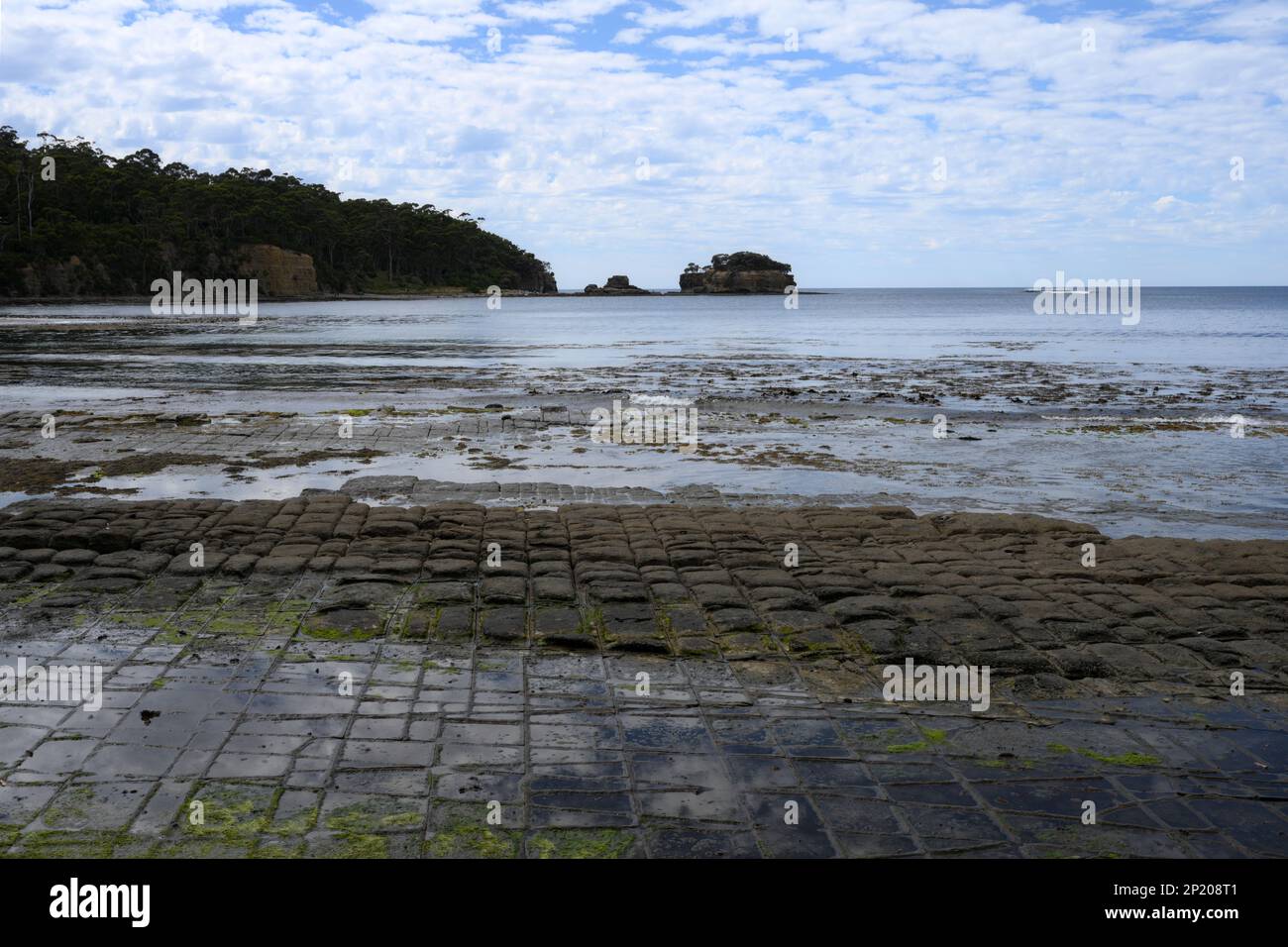 Tessellated pavements at Eaglehawk Neck Bay and Clyde Island,  Tasman Peninsula, a remarkable geological feature with geometric rock formations. Stock Photo