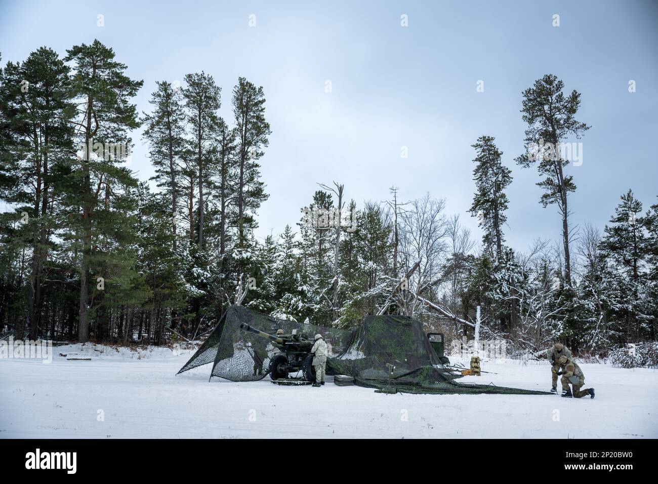 A gun team from the 1-120th Field Artillery Regiment, Wisconsin Army National Guard, constructs a camouflage canopy while setting up an M119 howitzer during Northern Strike 23-1, Jan. 25, 2023, at Camp Grayling, Mich. Units that participate in Northern Strike’s winter iteration build readiness by conducting joint, cold-weather training designed to meet objectives of the Department of Defense’s Arctic Strategy. Stock Photo