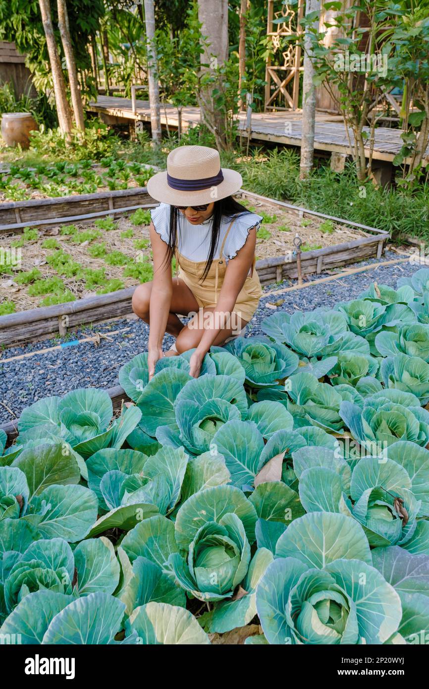 Asian female gardener plants hi-res stock photography and images - Alamy