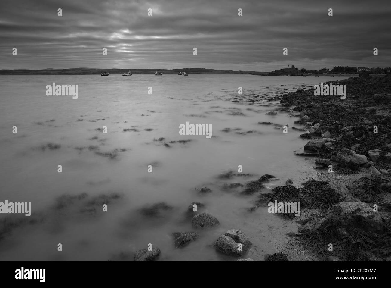 Black and White image of Lidisfarne Harbour, Holy Island ...