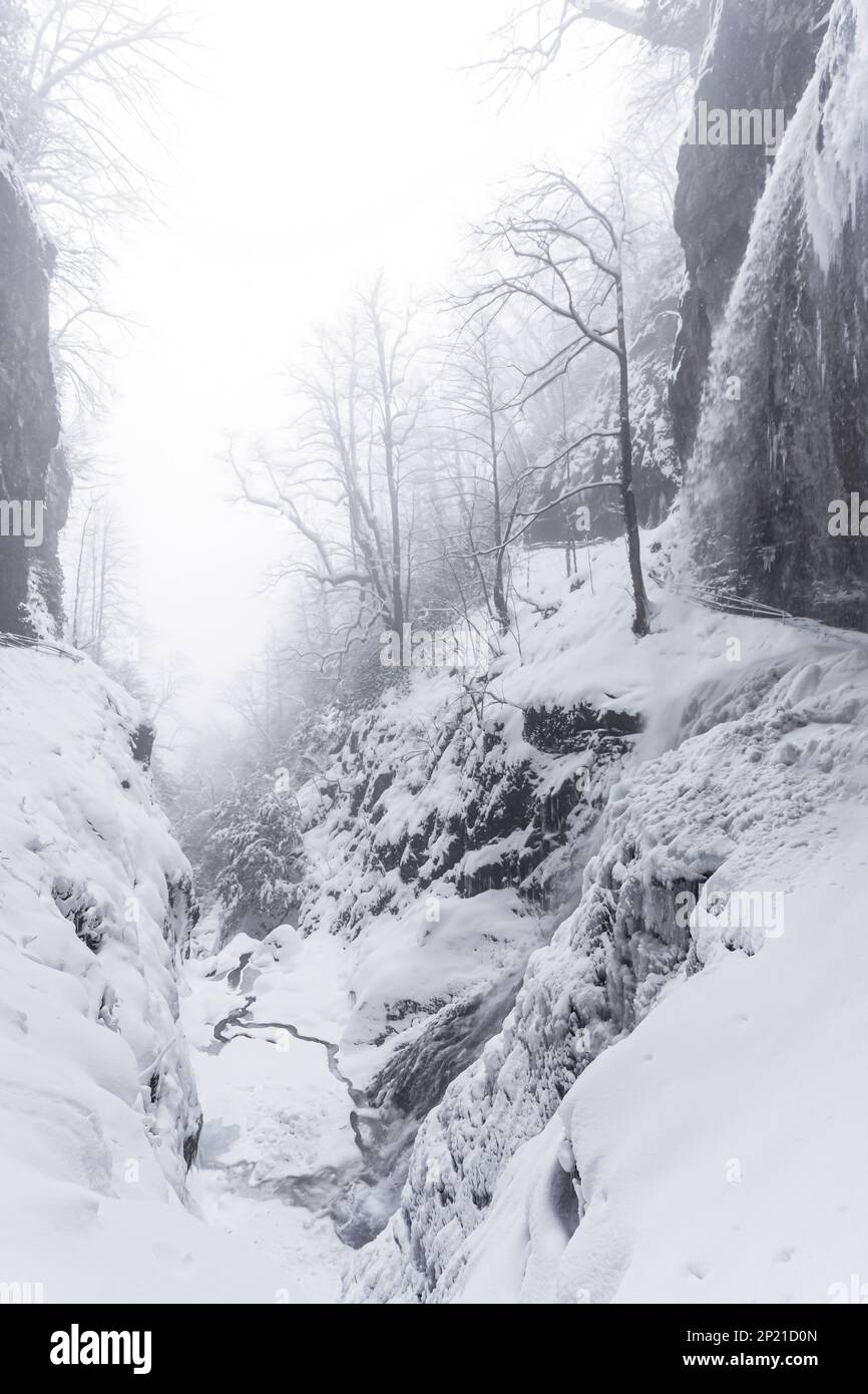 Misty winter mountain landscape with frozen waterfall and running water ...