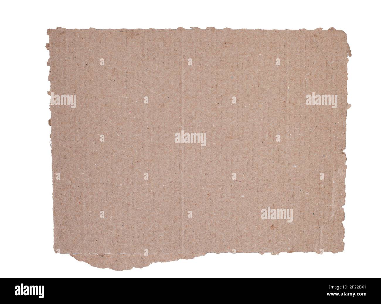 Corrugated kraft cardboard. A piece of torn cardboard isolated on a ...