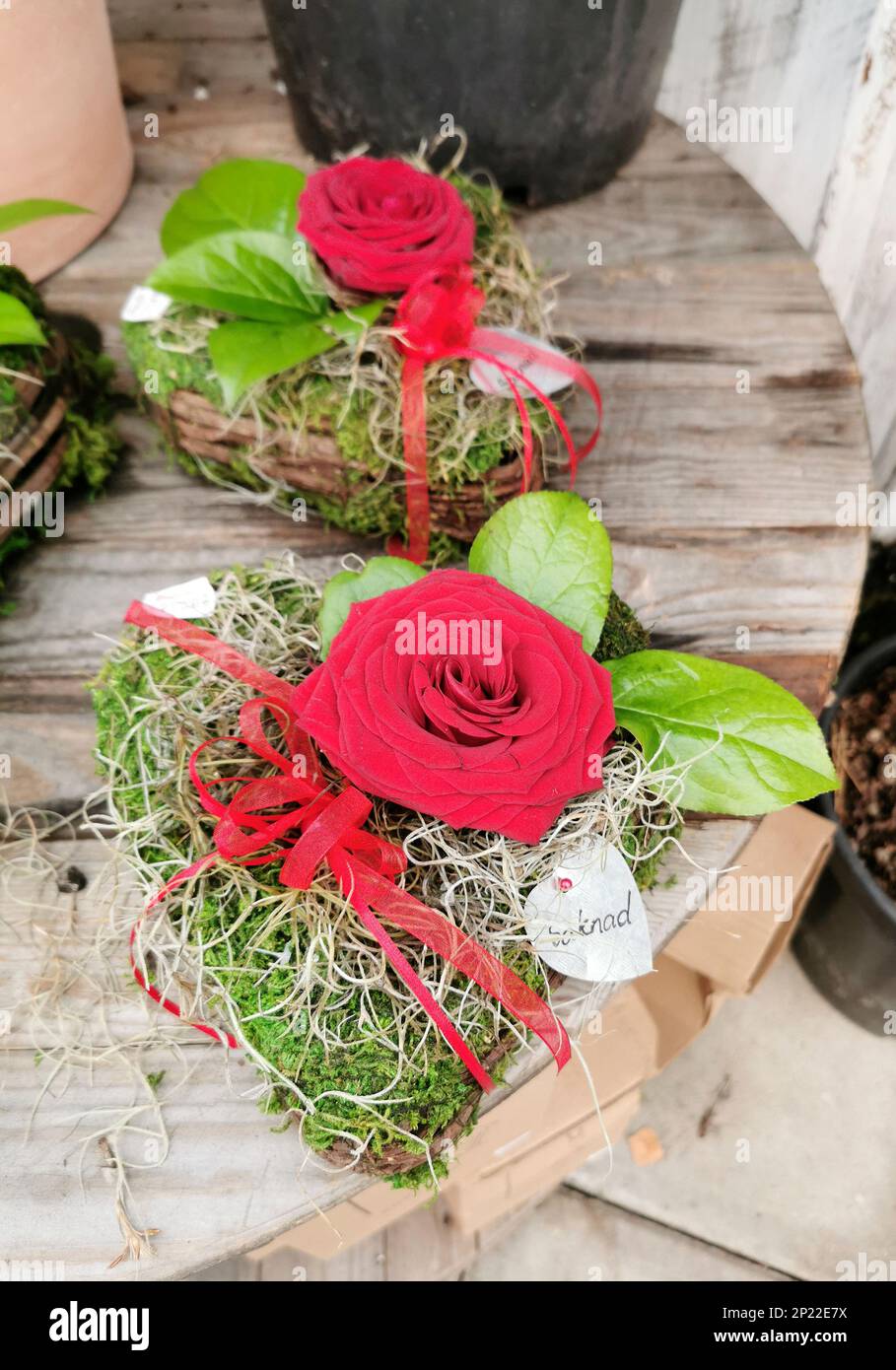 Moss hearts with red roses Stock Photo