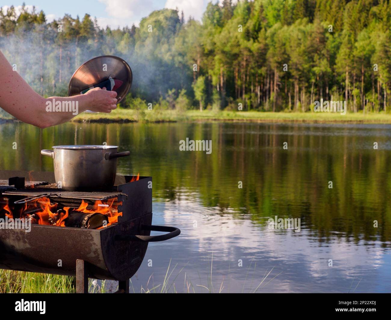 Party time. Grilling on the shores of the lake. Idyllic Swedish landscape in summer. Sweden. Northern Europe. Stock Photo