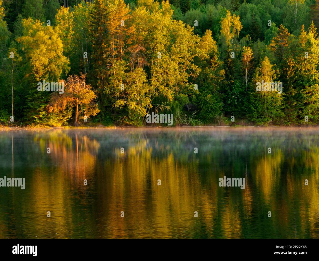Foggy lake after rain in summer during sunset. Idyllic Swedish
