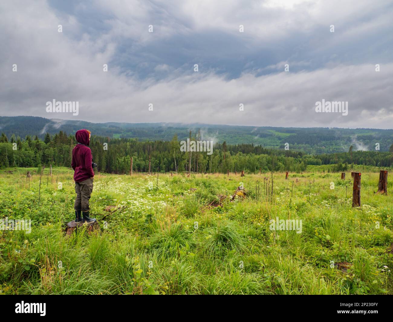 Axland, Sweden - June 2021: Tourist on the Swedish trekking routes during the rainy day. Northern Europe Stock Photo