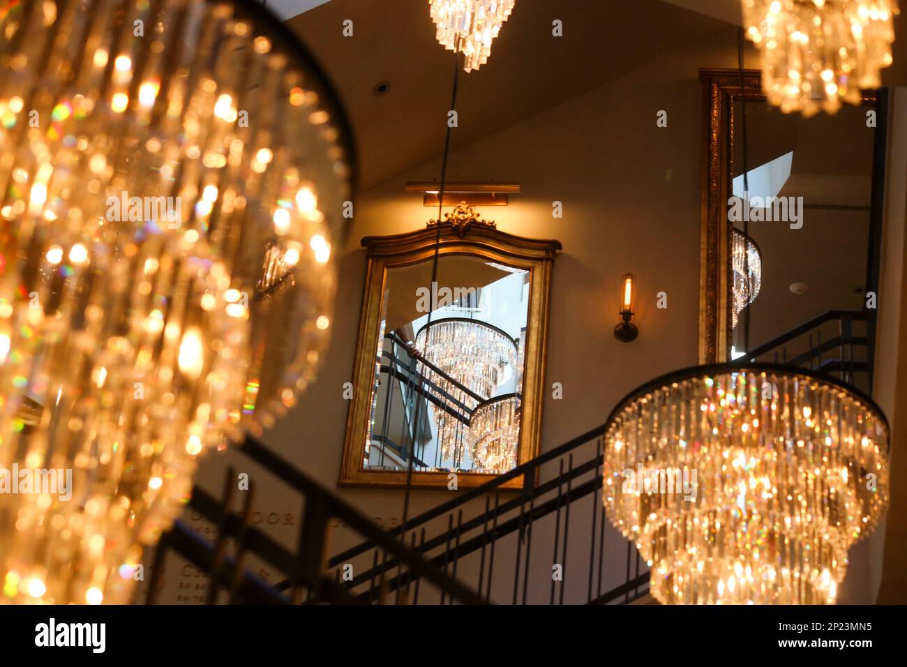 The new Restoration Hardware store at International Plaza in Tampa on Wednesday November 11 2015. The store will be open on Friday. Eve Edelheit The Tampa Bay Times via AP Stock Photo Alamy