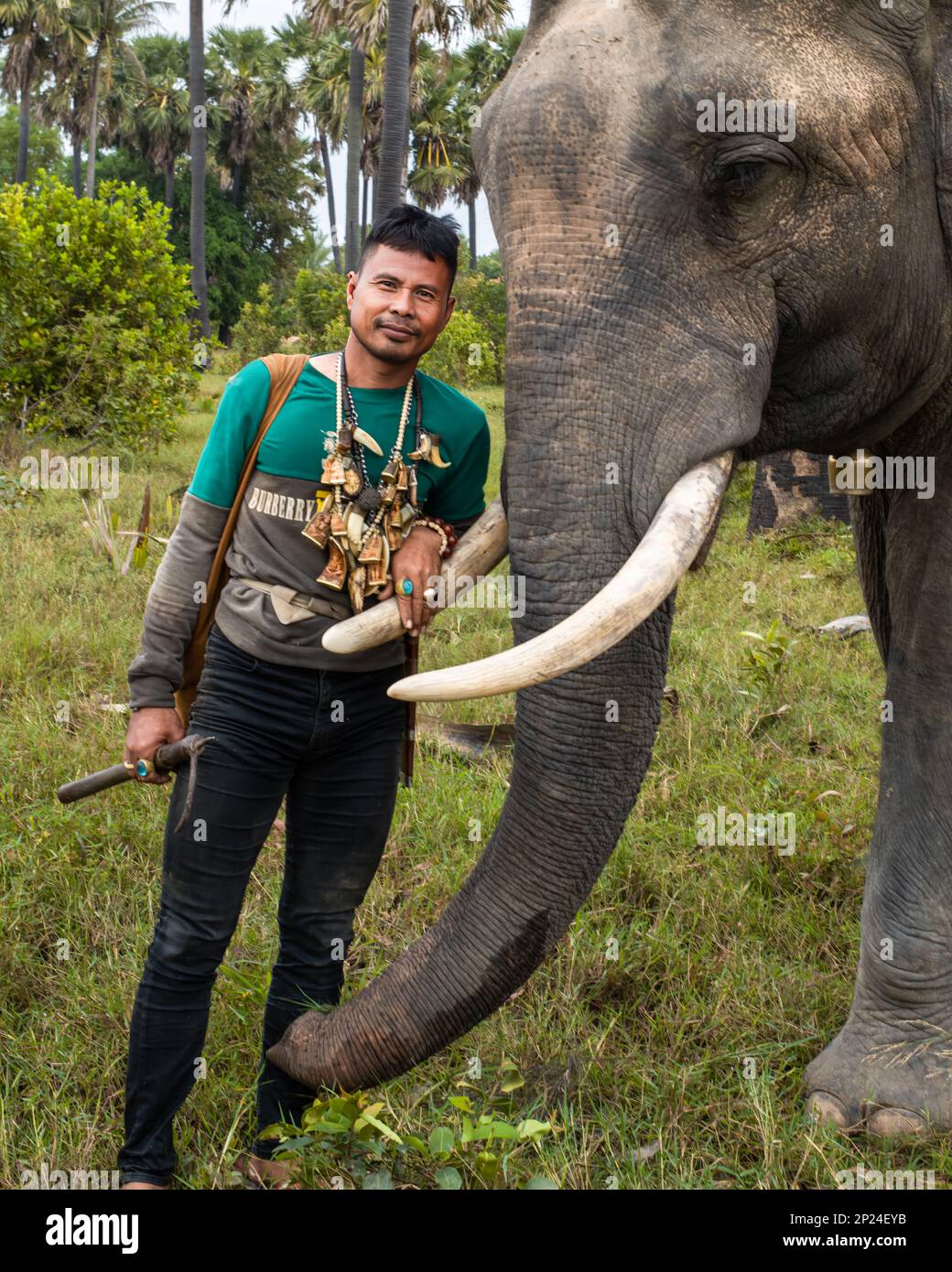 A Cambodian Mahout adorned with Buddhist amulets to ward off danger stands next to his elephant on scrub land in Phumi Khna, Siem Reap Province, Cambo Stock Photo