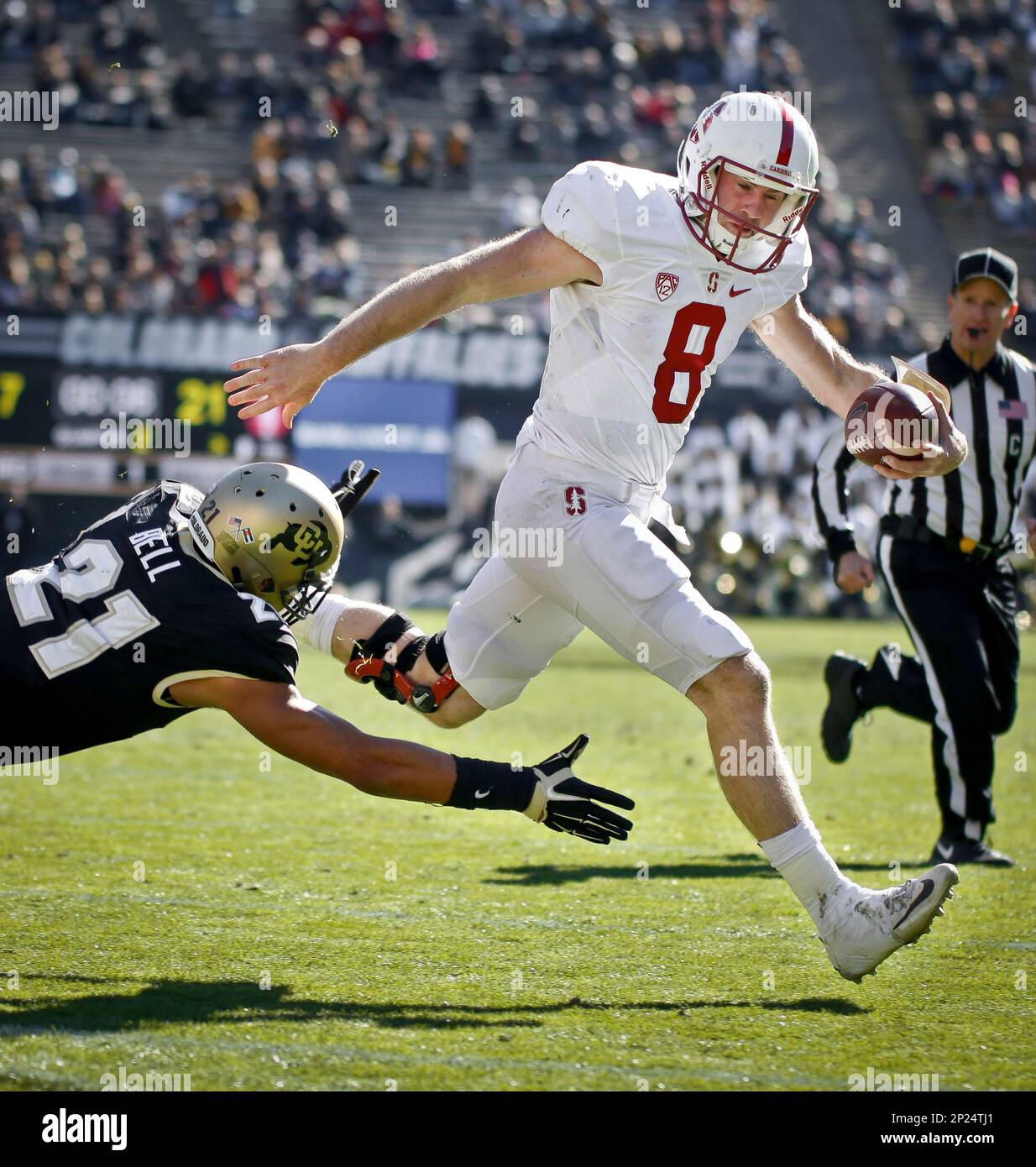 SHOT 11/7/15 1:24:49 PM - Colorado's Jered Bell #21 attempts to tackle  Stanford's Kevin Hogan #8 during their regular season Pac-12 football game  at Folsom Field in Boulder, Co. Stanford won the