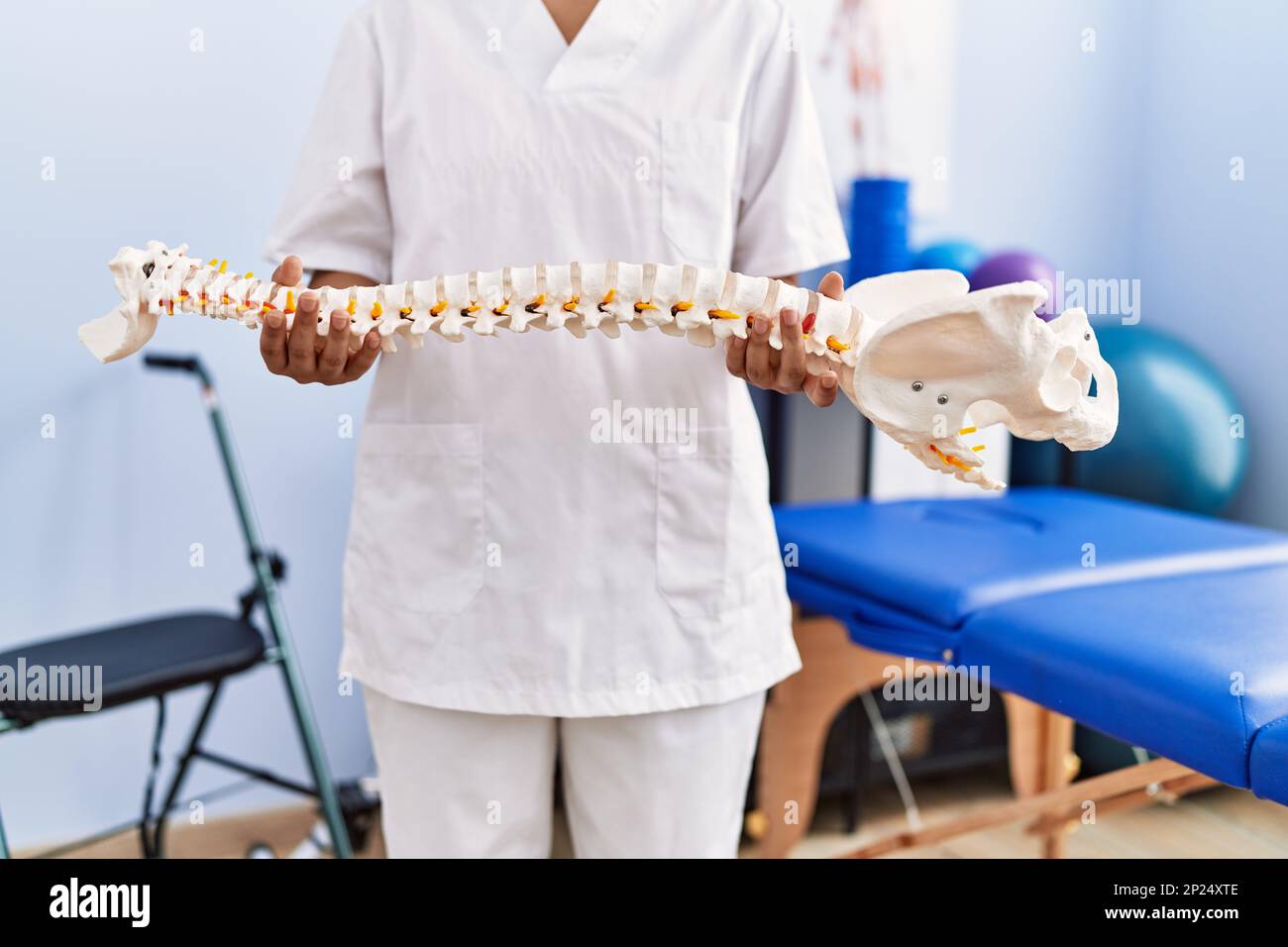 Young latin woman wearing physiotherapist uniform holding anatomical