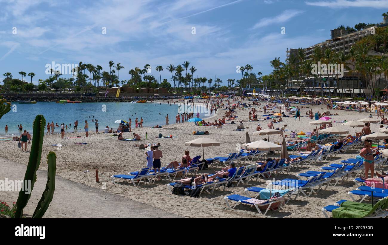 People Sunbathing On The Beach At Playa Anfi Del Mar Gran Canaria Canary Islands Spain Europe