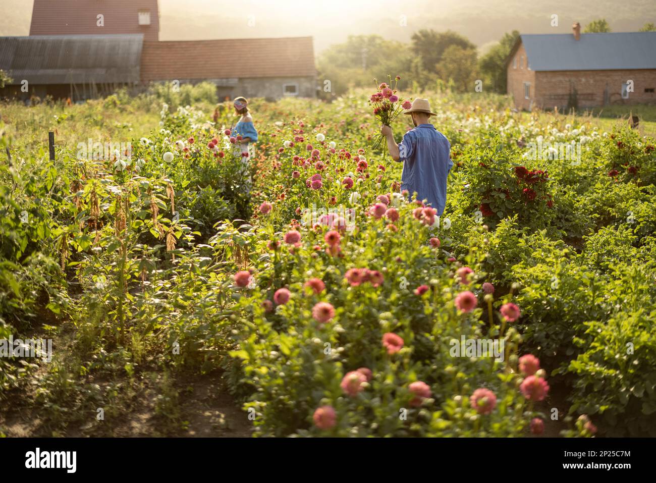 Man and woman pick up flowers at farm outdoors Stock Photo Alamy