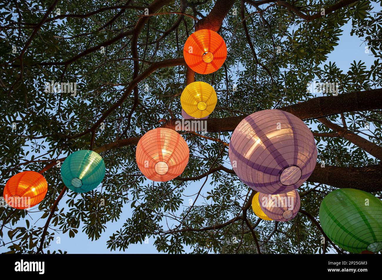 Lit colorful lanterns hanging from a tree in Taichung, Taiwan Stock