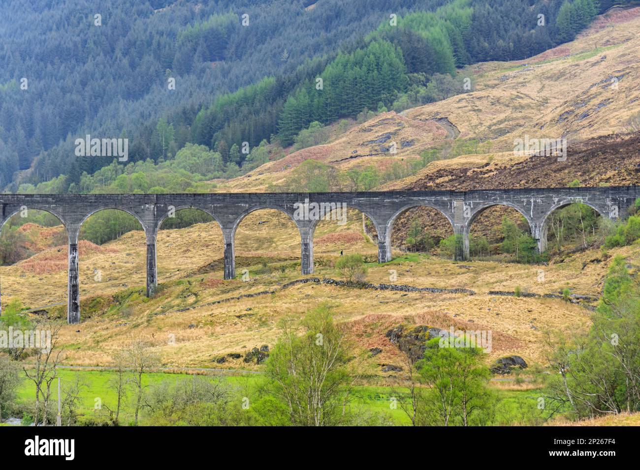 The Glenfinnan Viaduct is a railway viaduct on the West Highland Line in Glenfinnan, Inverness-shire, Scotland. Stock Photo