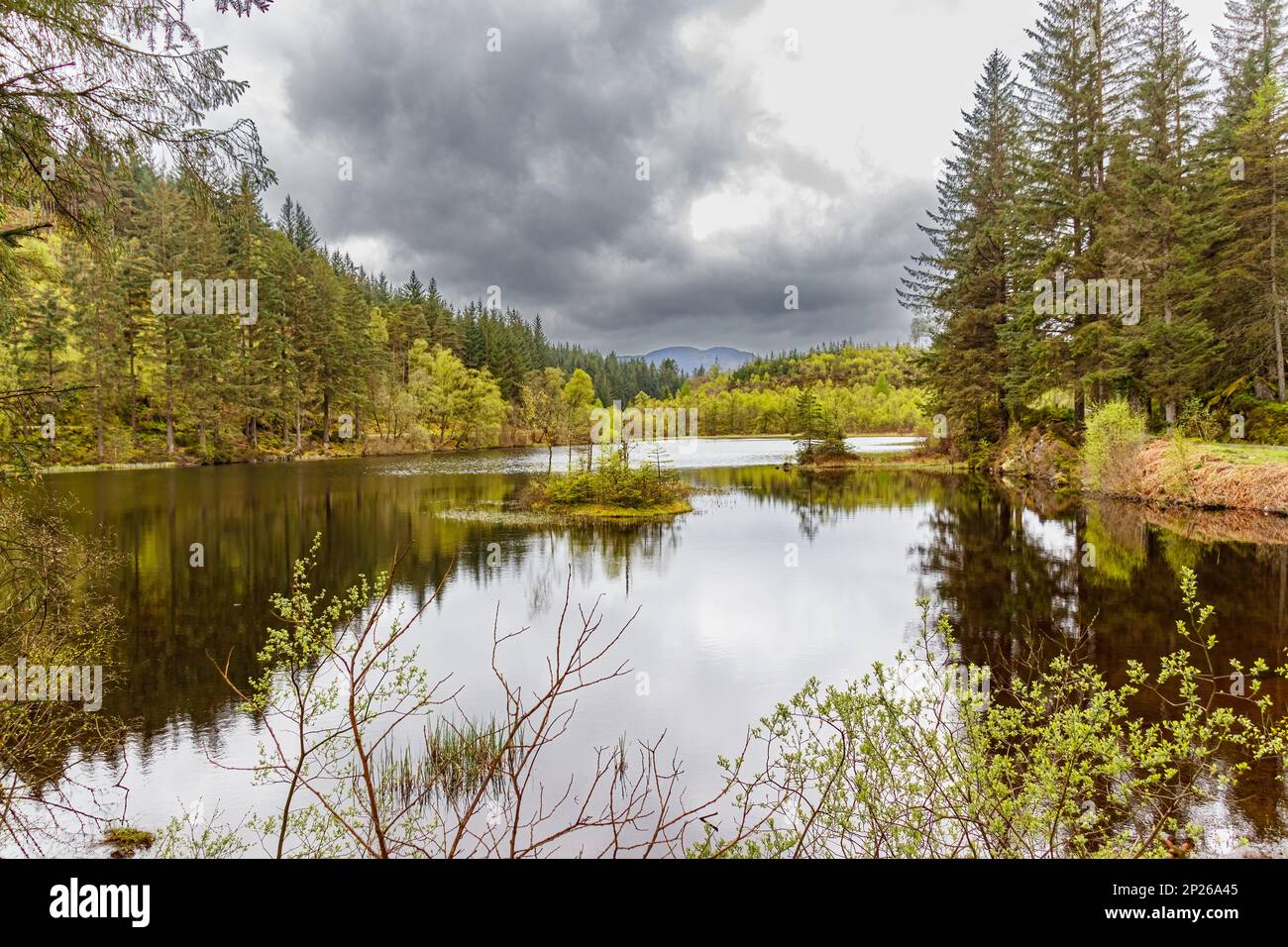 Nature reserve and Loch Ard lake Stock Photo