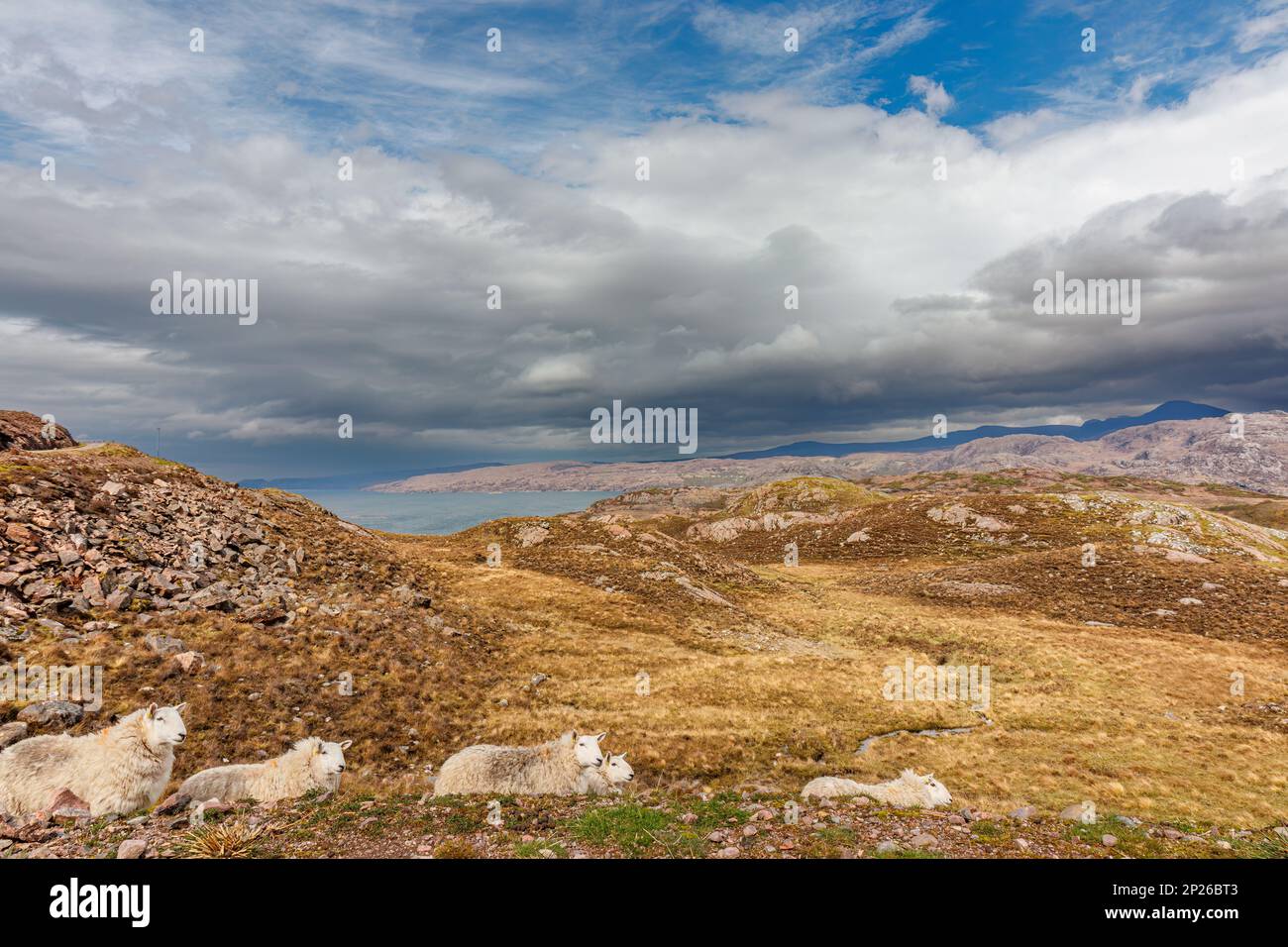 Scenic view of the scottish highlands in springtime, Scotland, United Kingdom Stock Photo