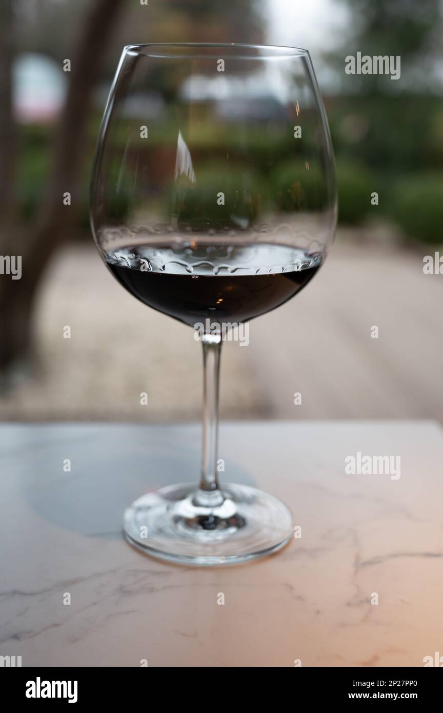 Tasting of red reserva rioja wines, visit of winery cellar in Haro