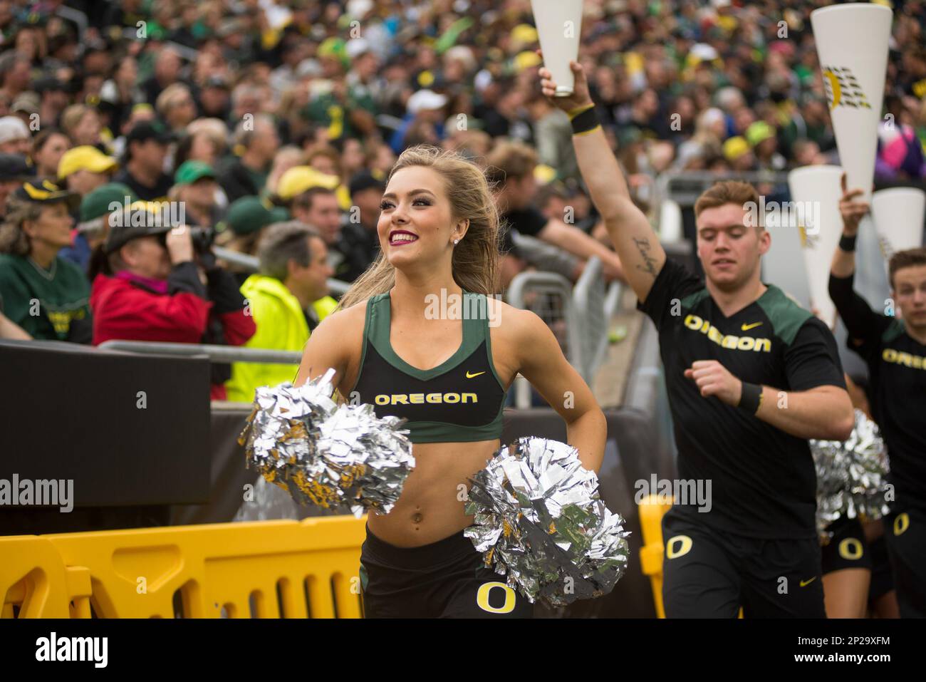 EUGENE, OR - OCTOBER 05: An Oregon Ducks cheerleader watches a video replay  during a college football game between the Cal Bears and Oregon Ducks at  Autzen Stadium in Eugene, Oregon. (Photo