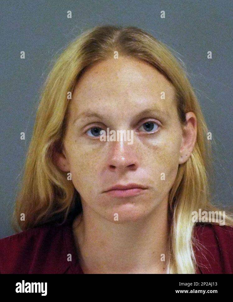 This arrest photo provided by the Sarasota County Sheriff's Office on