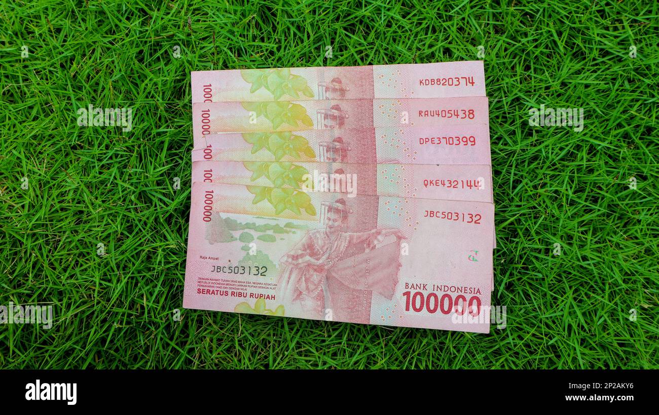 Indonesian thousand rupiah notes are isolated on a green grass background. Stock Photo