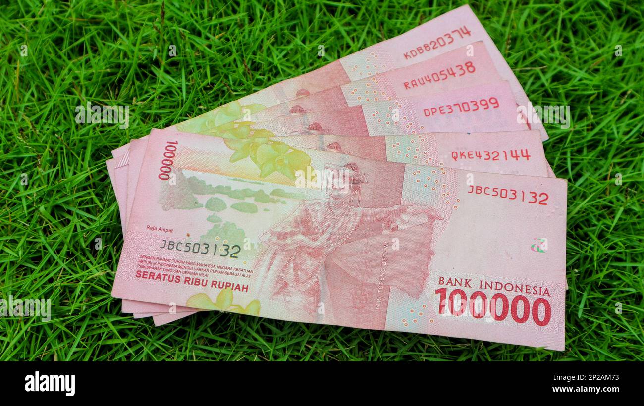 Indonesian thousand rupiah notes are isolated on a green grass background. Stock Photo