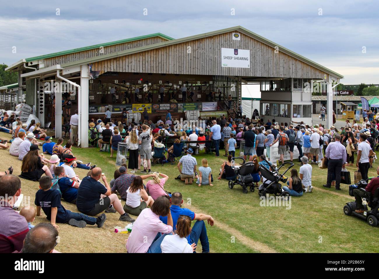 Crowds of visitors watch shearers compete (busy traditional outdoor  entertainment event in shed barn) - Great Yorkshire Show, Harrogate, England, UK. Stock Photo