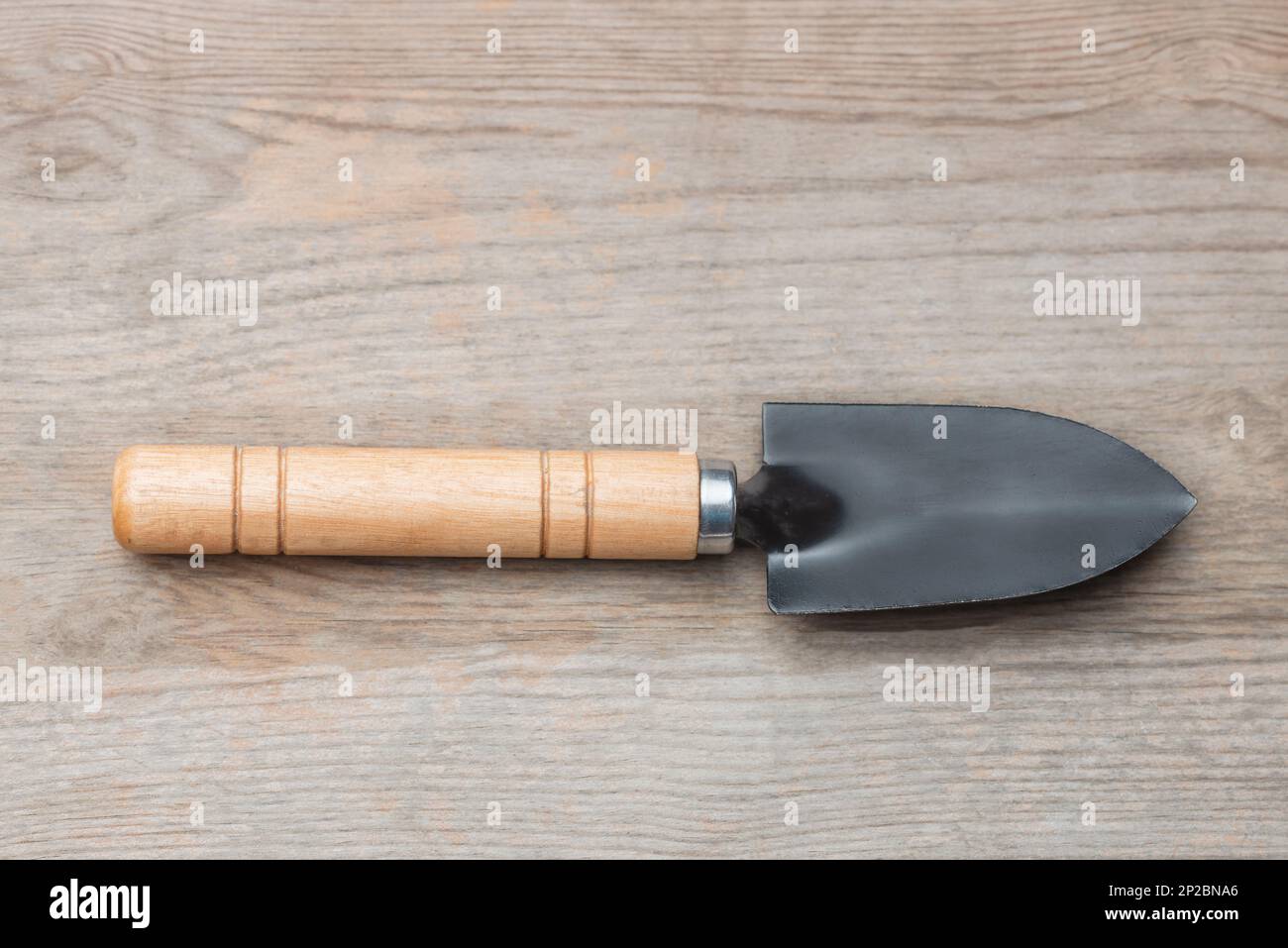 Potting hand spade shovel gardening trowel tool wooden background cactus Stock Photo