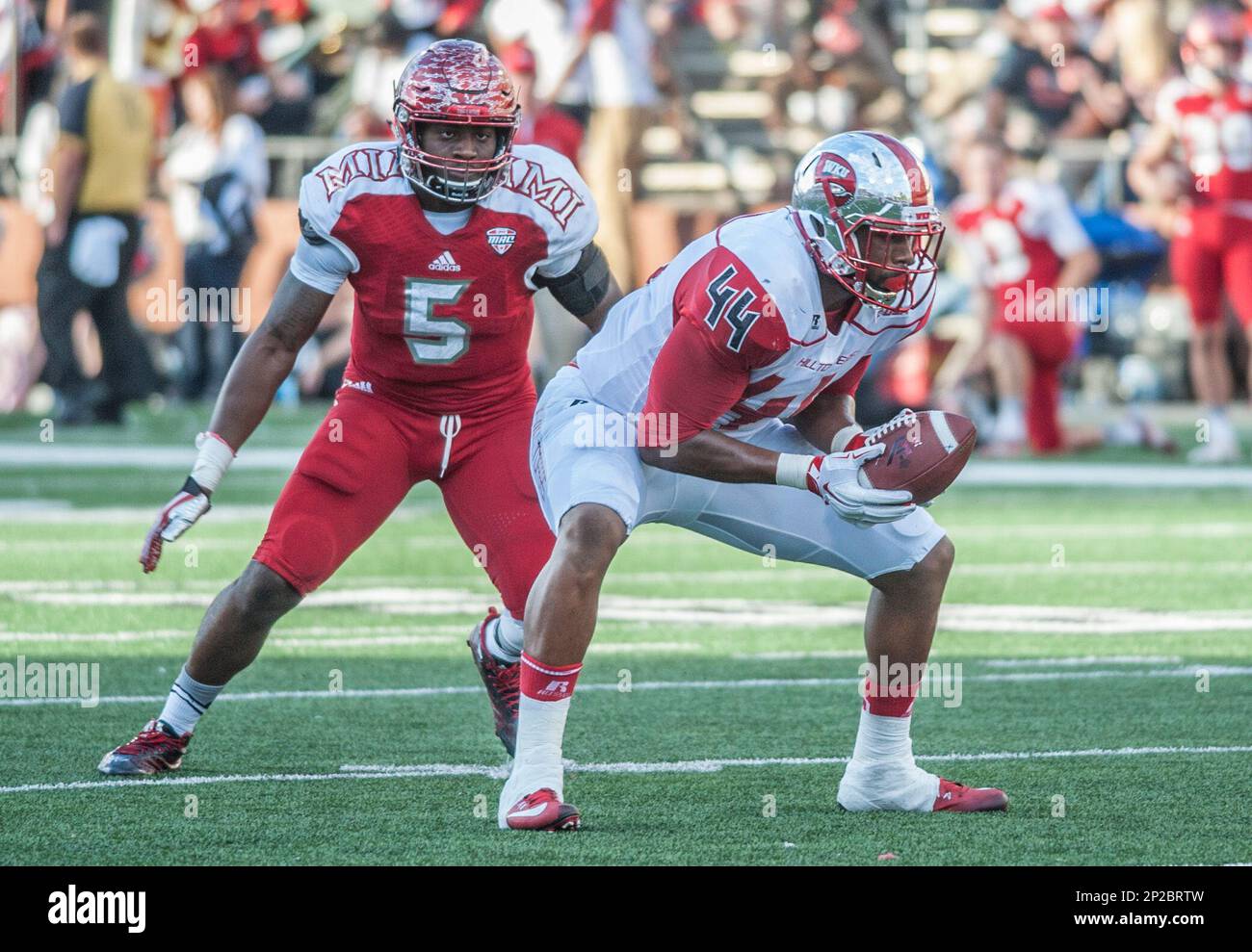 Western Kentucky Hilltoppers tight end George Fant (44) catches a pass