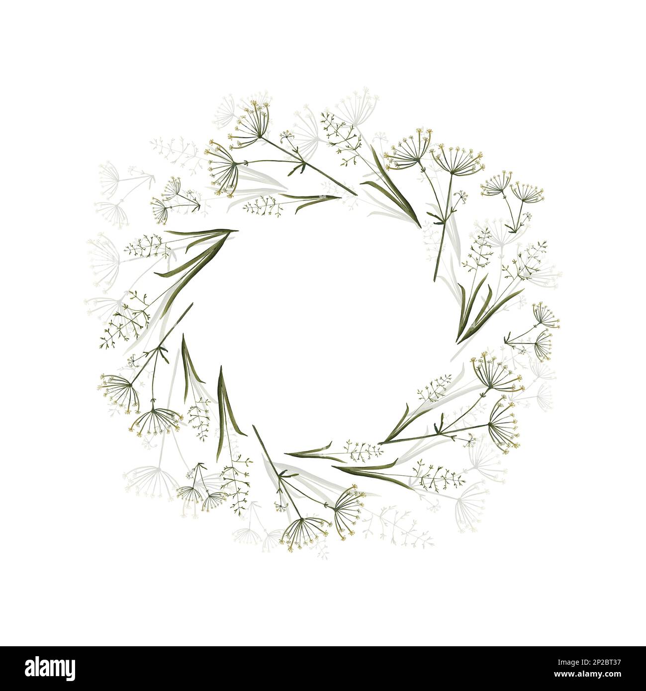 Round frame of field plants isolated on a white background. Watercolor illustration of meadow grasses. A meadow flower.Medicinal herbs. The drawing is Stock Photo