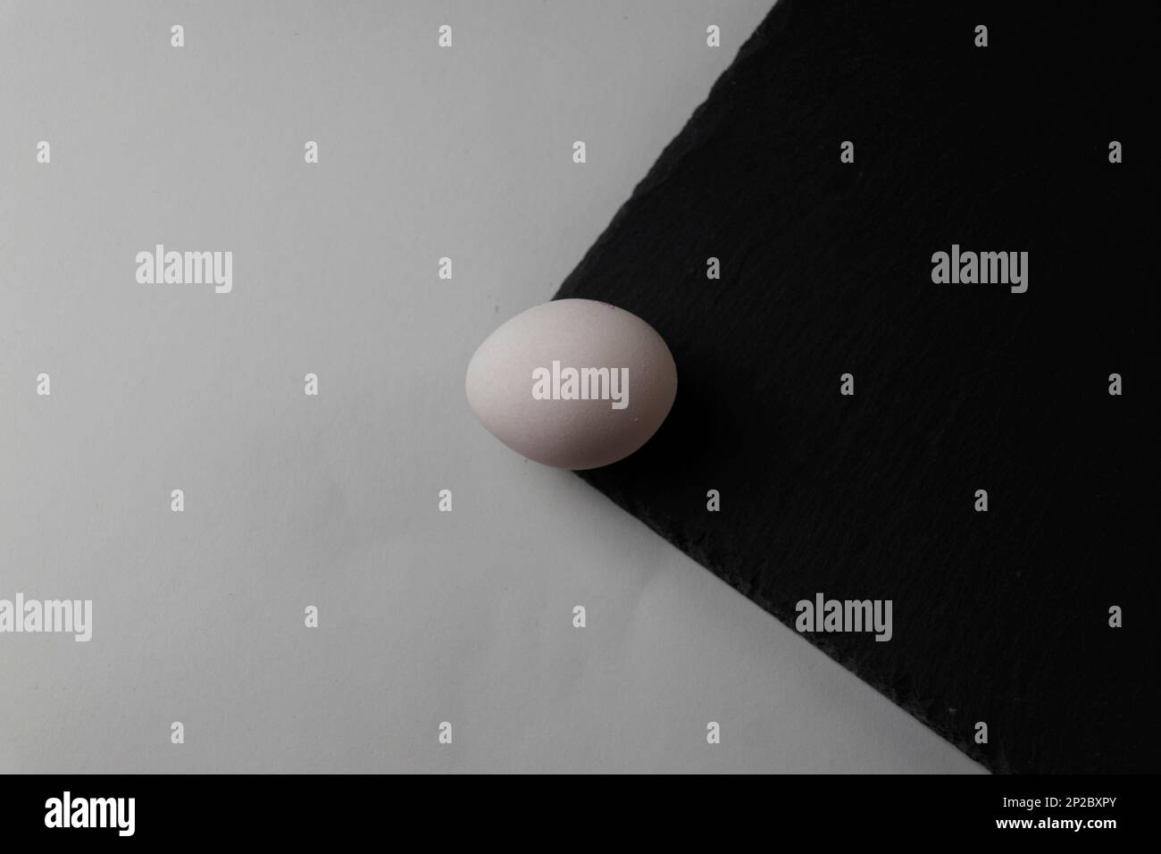 Egg - concept Stock Photo