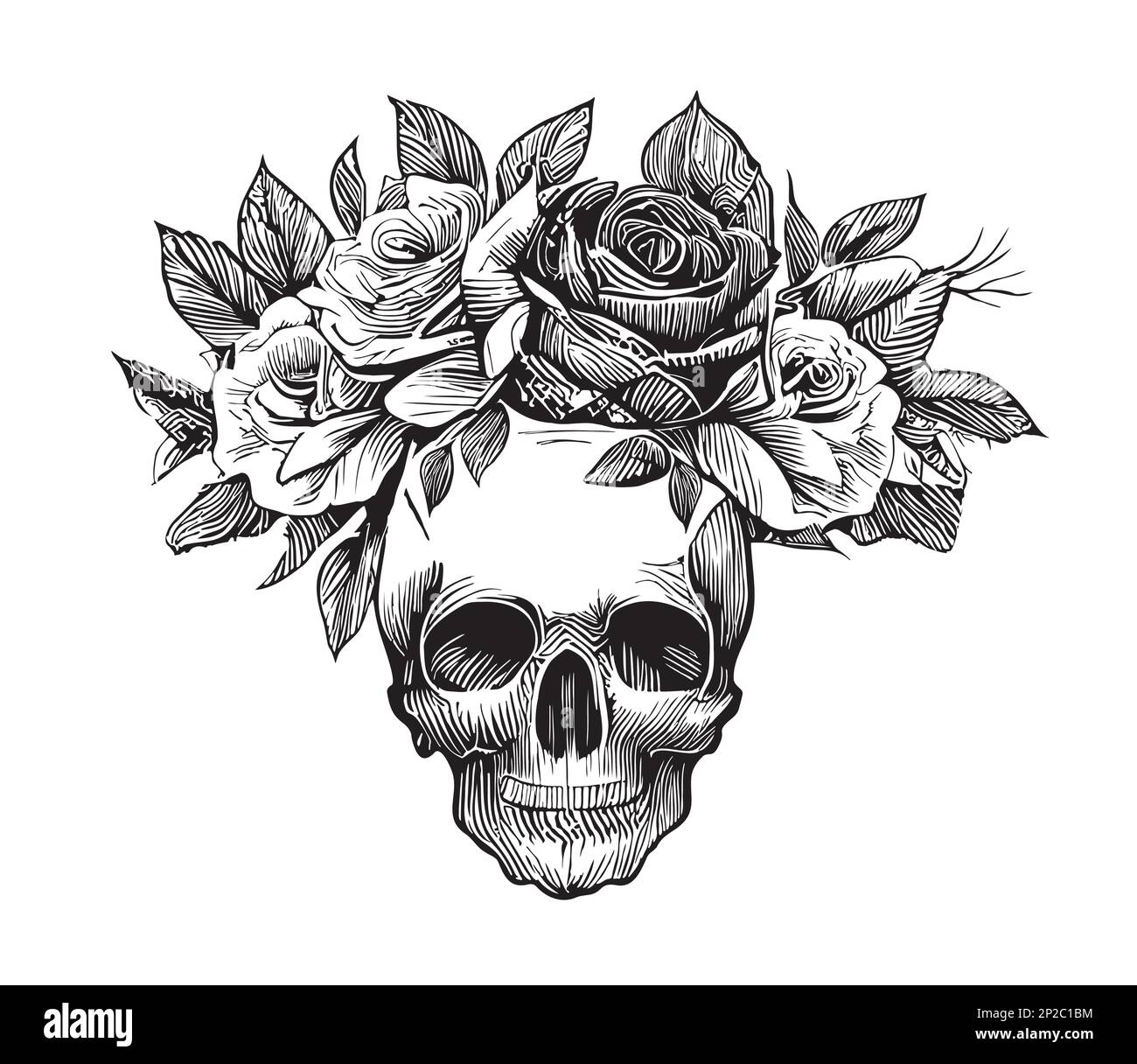 Skull with roses hand drawn sketch illustration Stock Vector Image