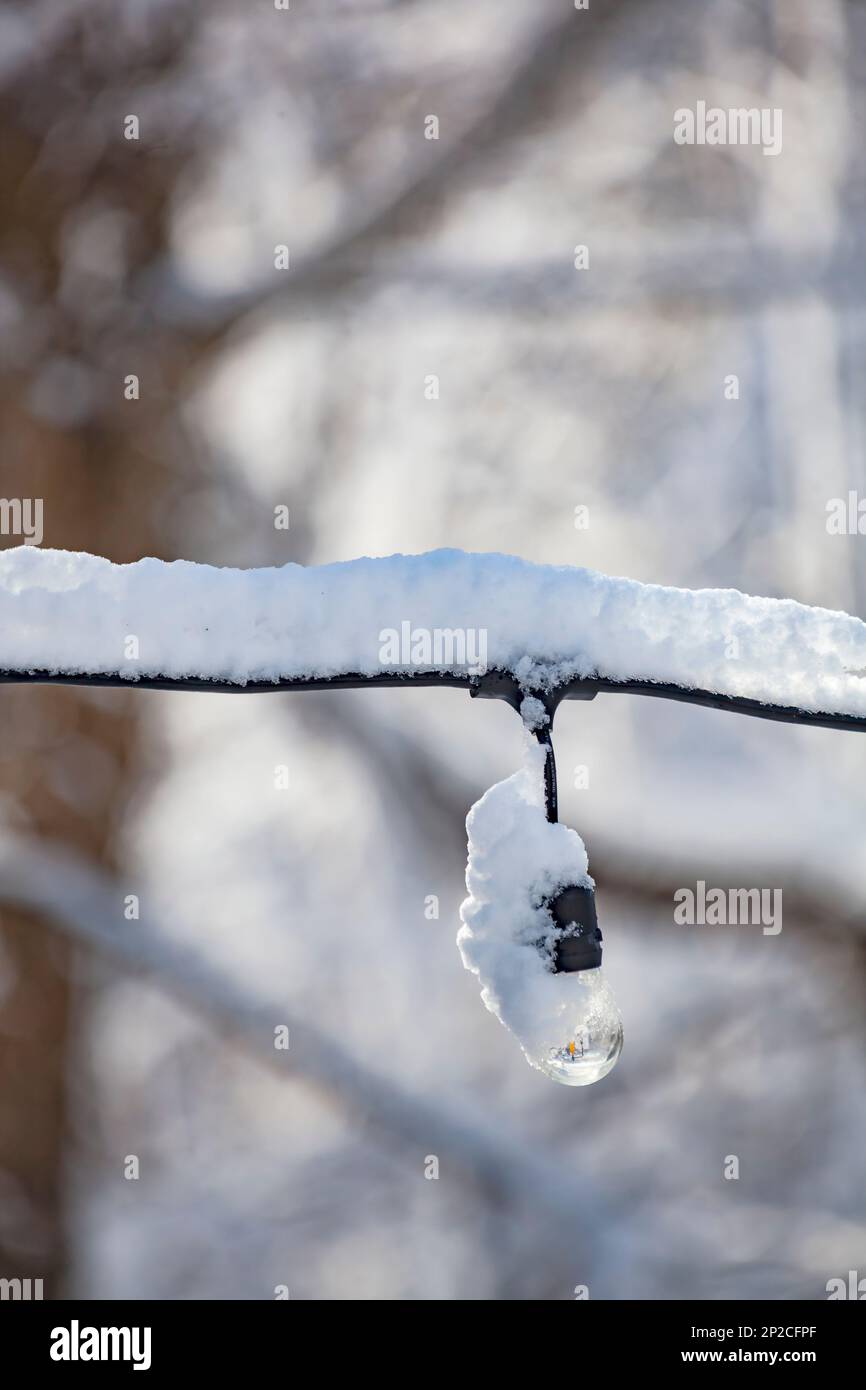 Tree lights covered in a blanket of snow in Bloomfield Hills, MI USA Stock Photo