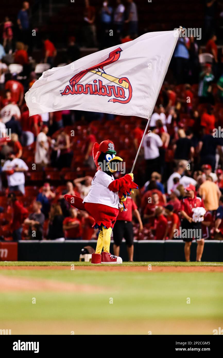 St. Louis Cardinals mascot Fredbird holds the Stanley Cup over head during  a ceremony honoring the St. Louis Blues Stanley Cup victory prior to the  start of a baseball game against the