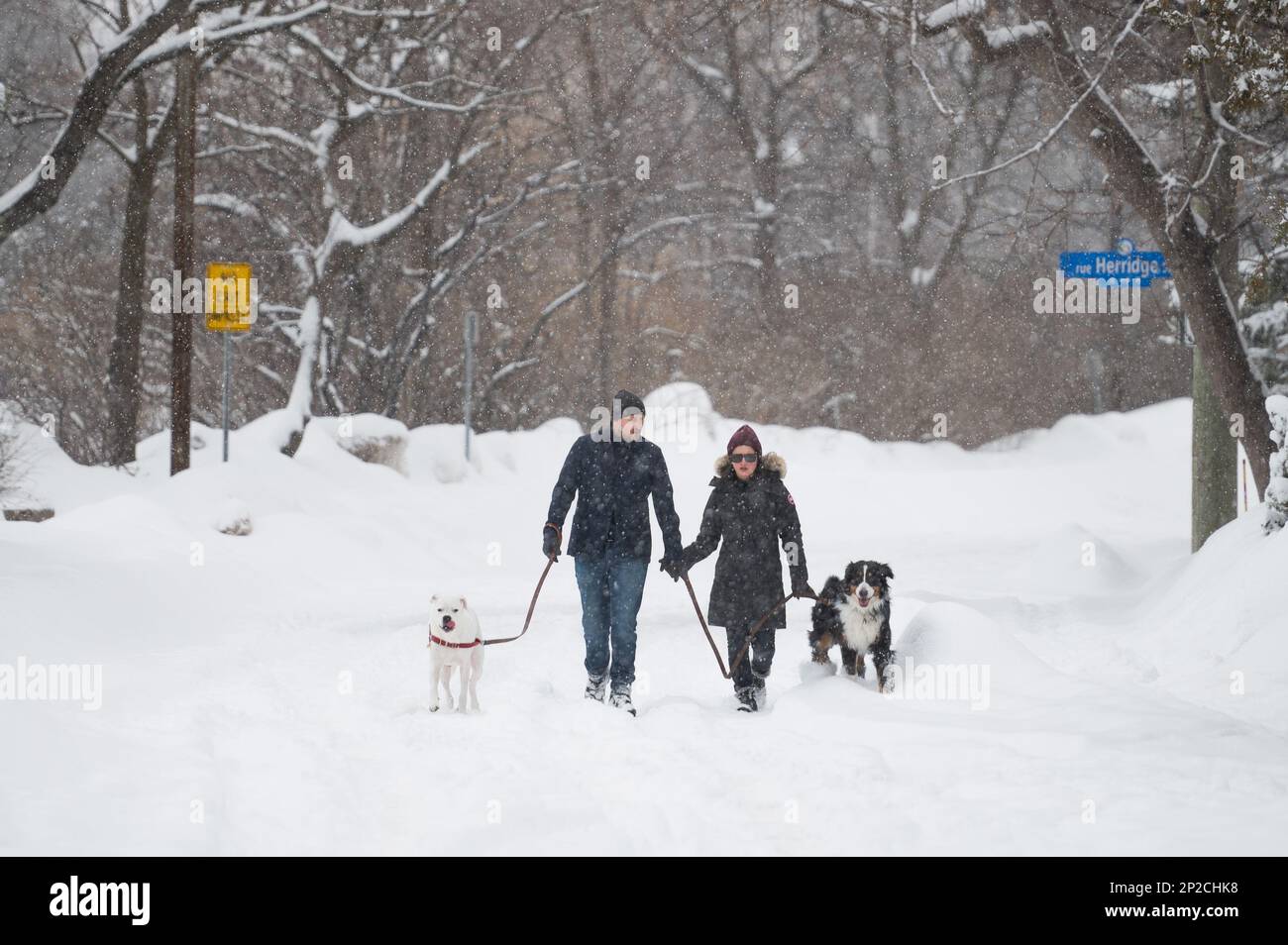 A pair of dog walkers make their way through the Old Ottawa East
